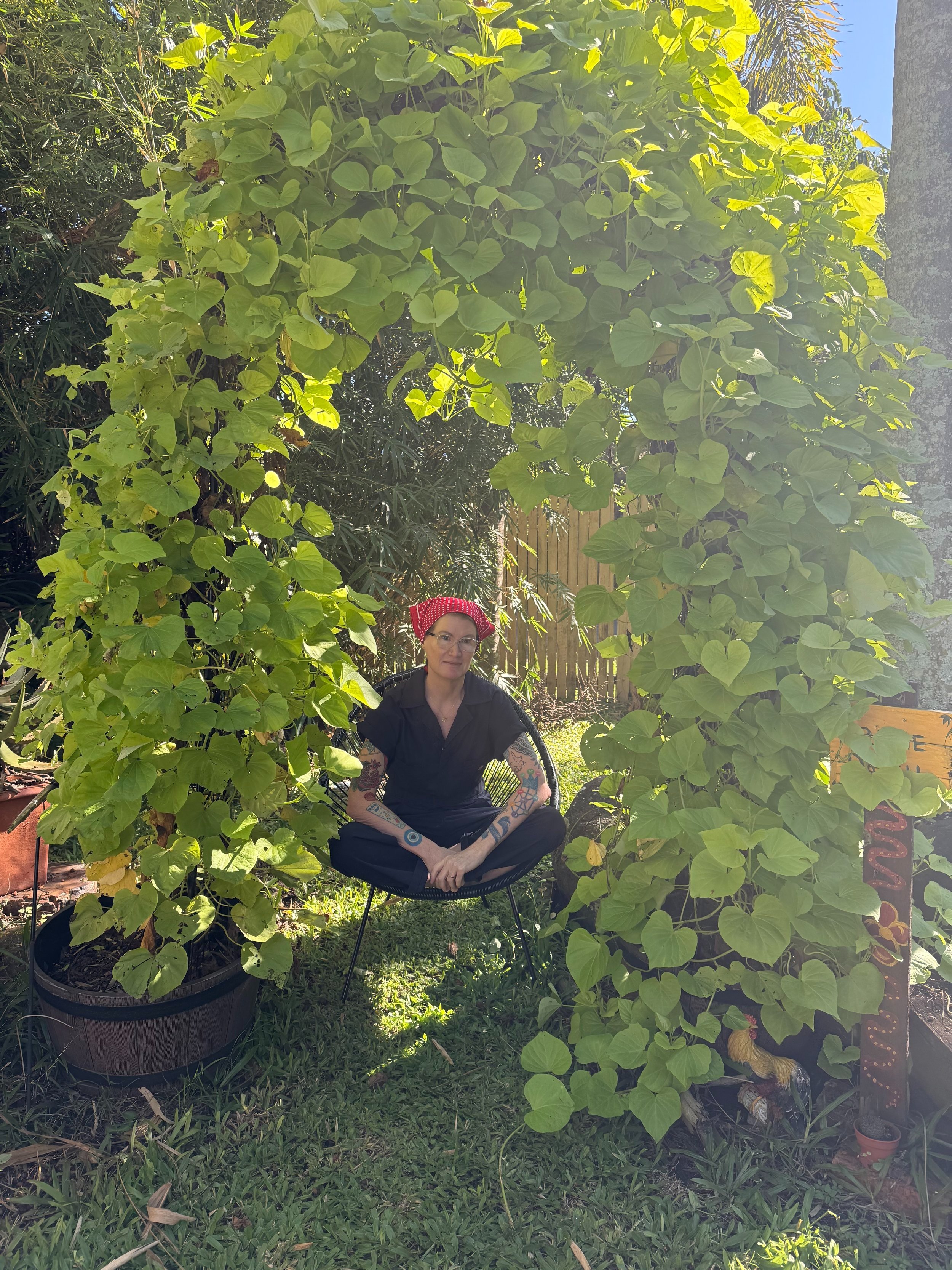 Enough: Why I'm Building a Neurodivergent-Led Practice, and What Comes Next
