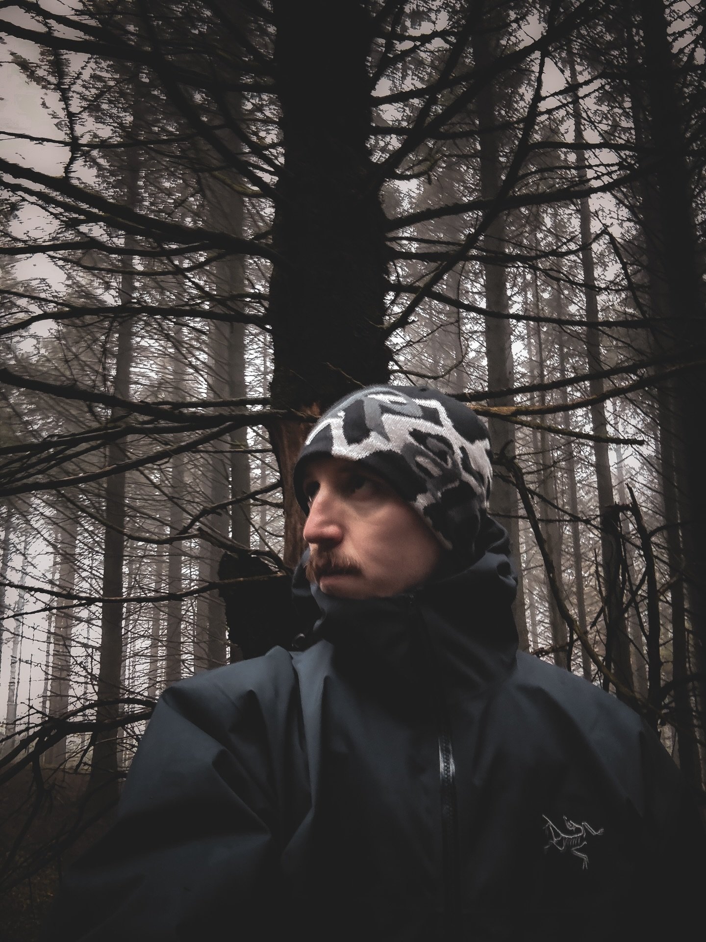 Moody morning in the woods 🌳🥾

#forest #woodland #outdoors #getoutside #hike #hikingtrail