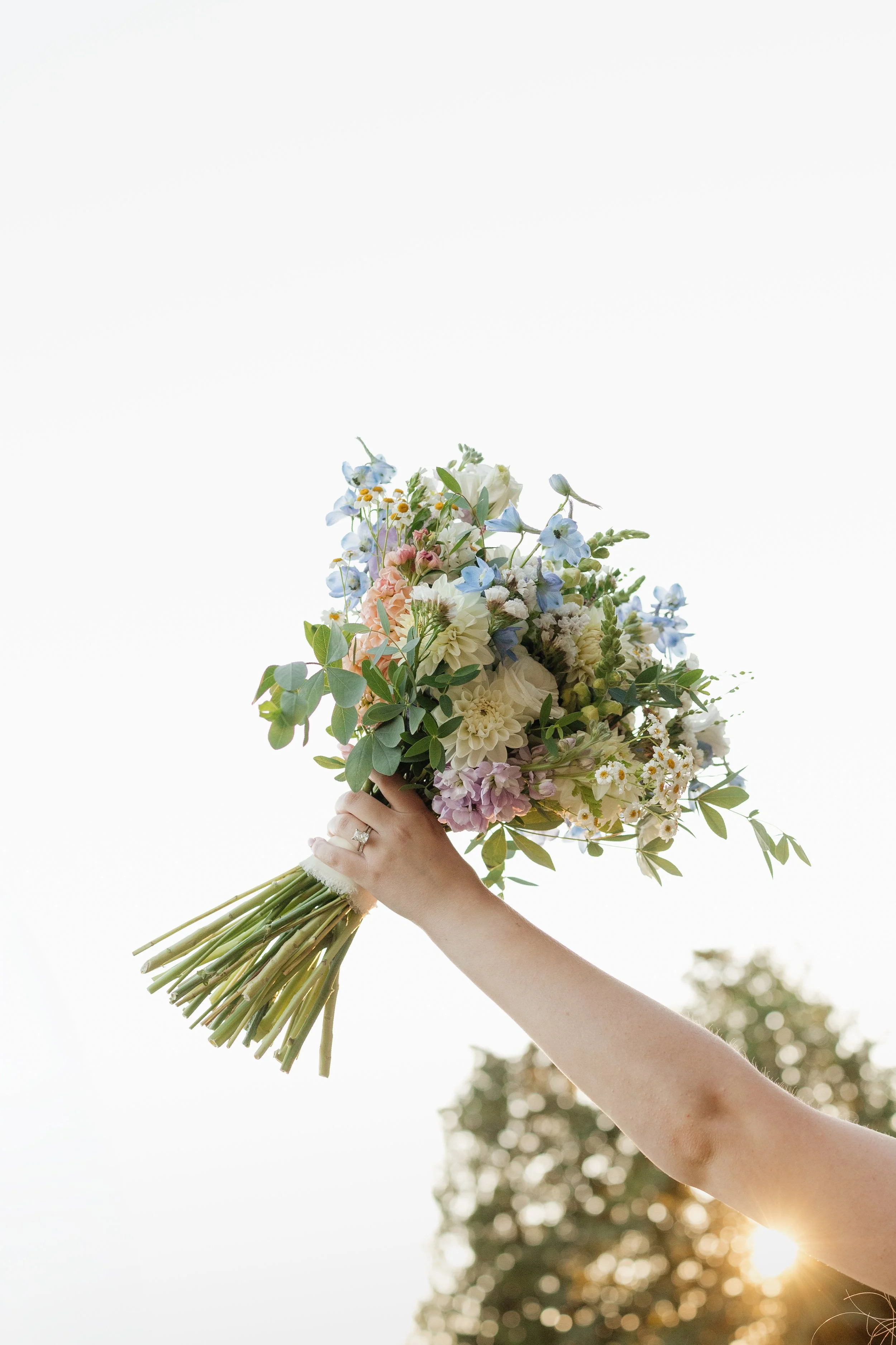 A hand holding a bouquet of mixed flowers against a bright sky with sunlight and blurred trees in the background.