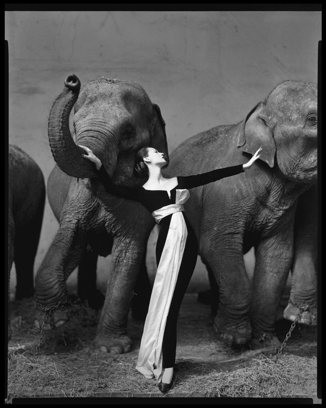 Avedon didn&rsquo;t just shoot fashion&mdash;he turned it into performance. His images pulsed with life, drama, and movement.

From Dovima with Elephants (1955) to Kate Moss for Versace (1993) to Małgosia Bela for Dior (2000), his work redefined what