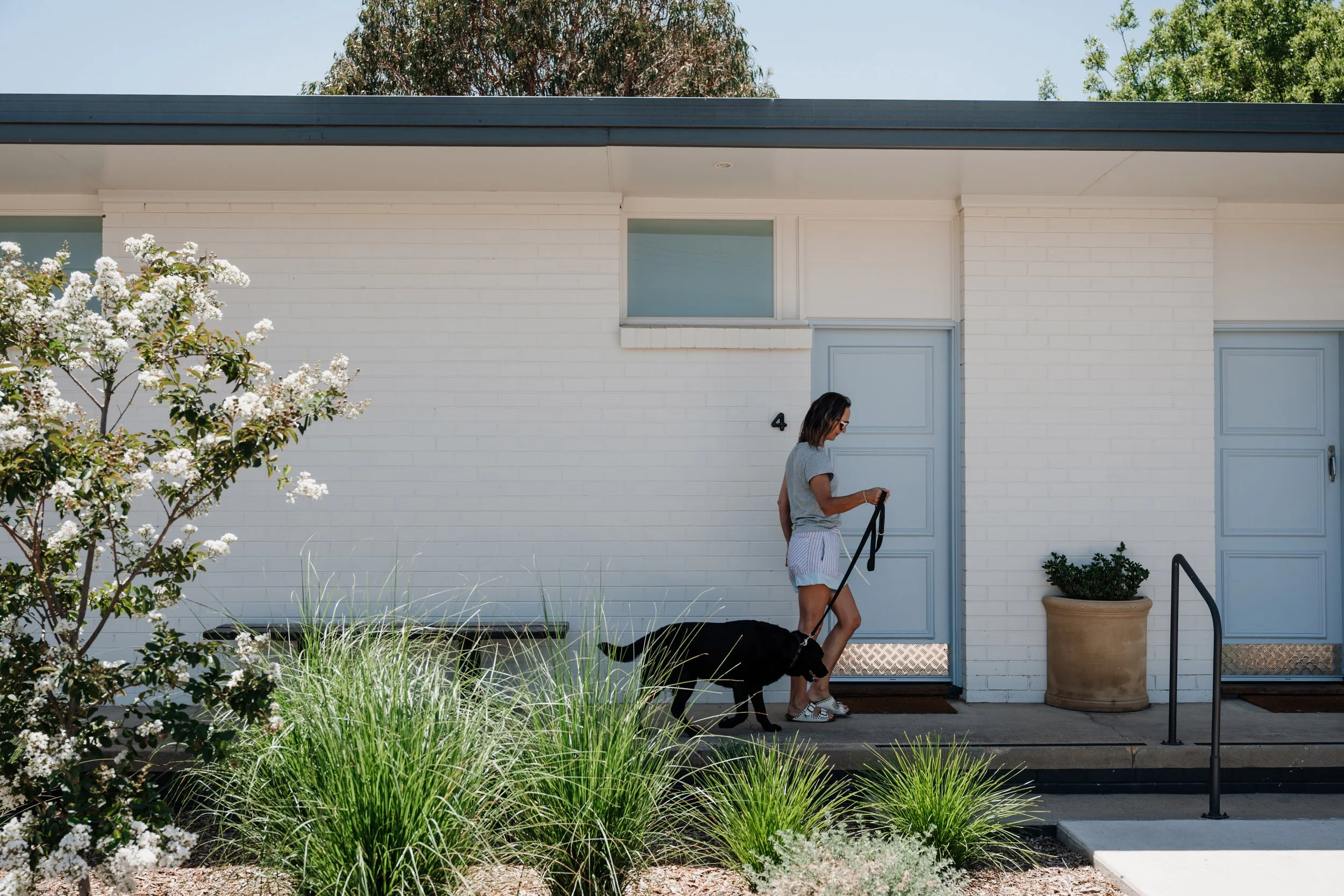 HERO dog walkway.jpg