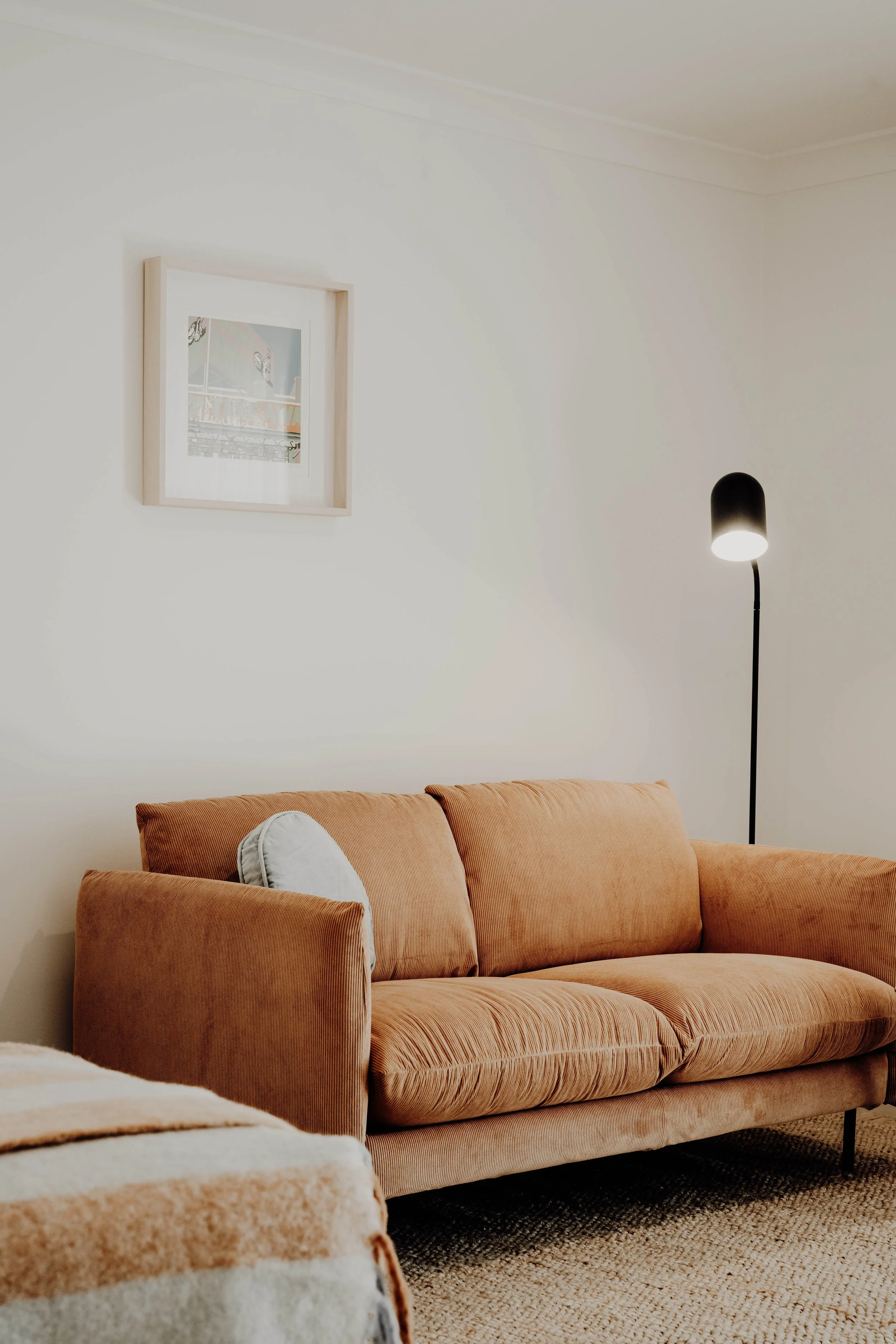 A cozy living room with a peach-colored velvet sofa, a round gray pillow, a white and beige striped blanket, a floor lamp with a black stand, a framed picture on the white wall, and a textured beige area rug.