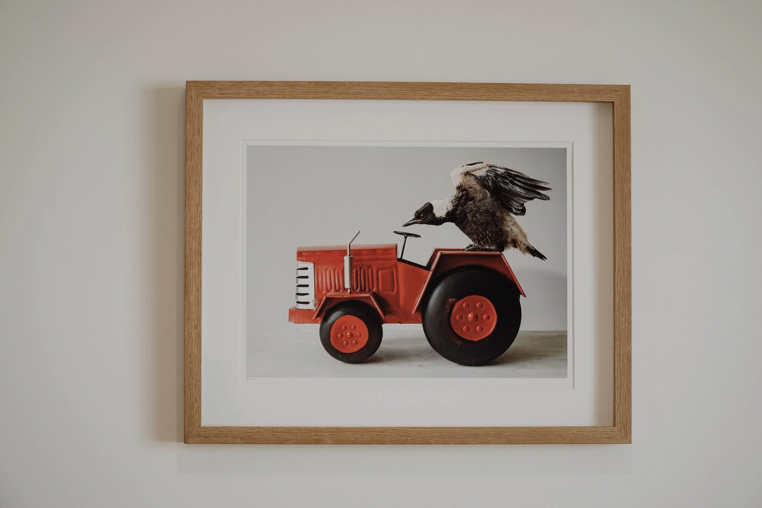 A framed photograph of a small red toy tractor with a bird perched on it, set against a plain white wall.