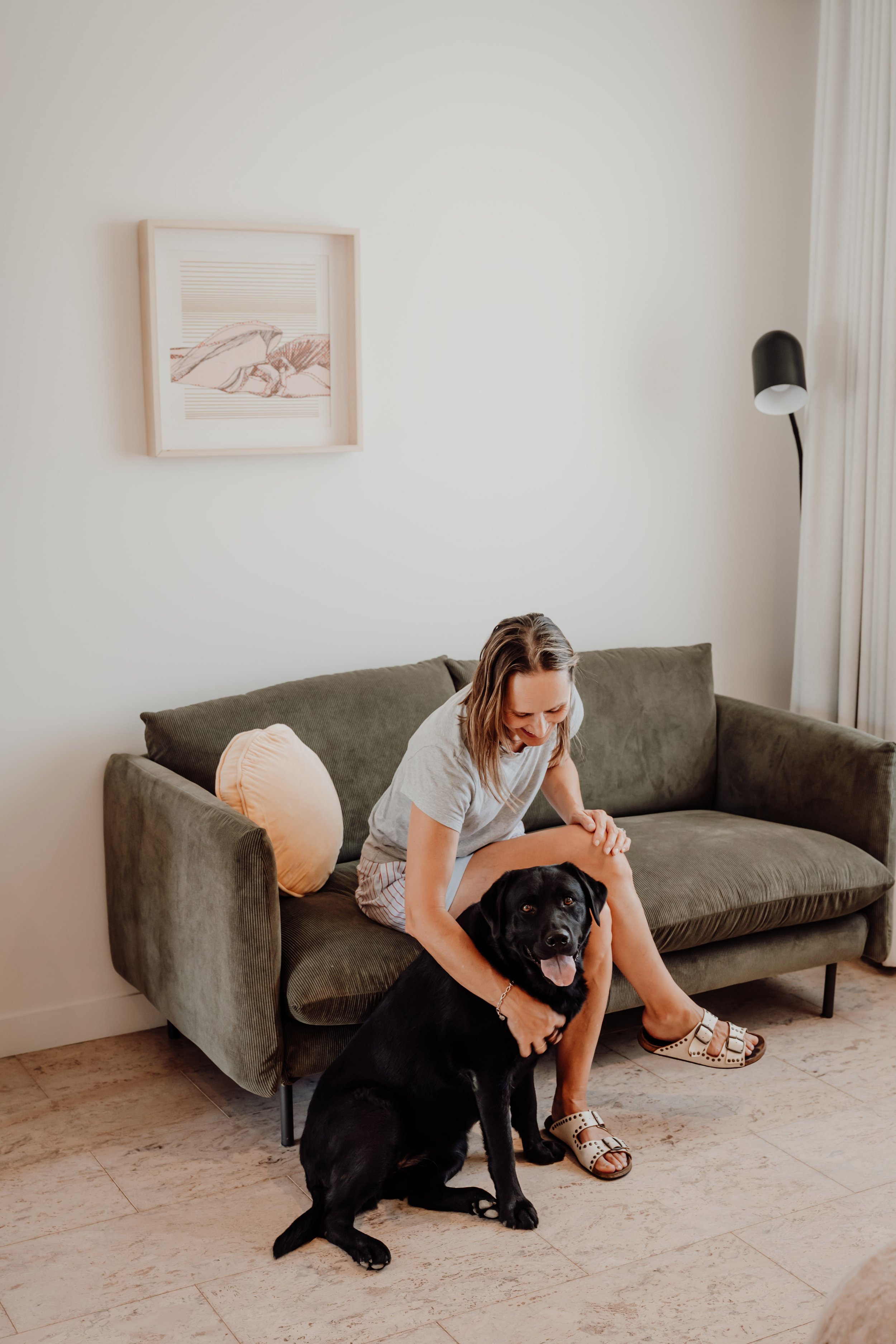 HERO dog inside room.jpg