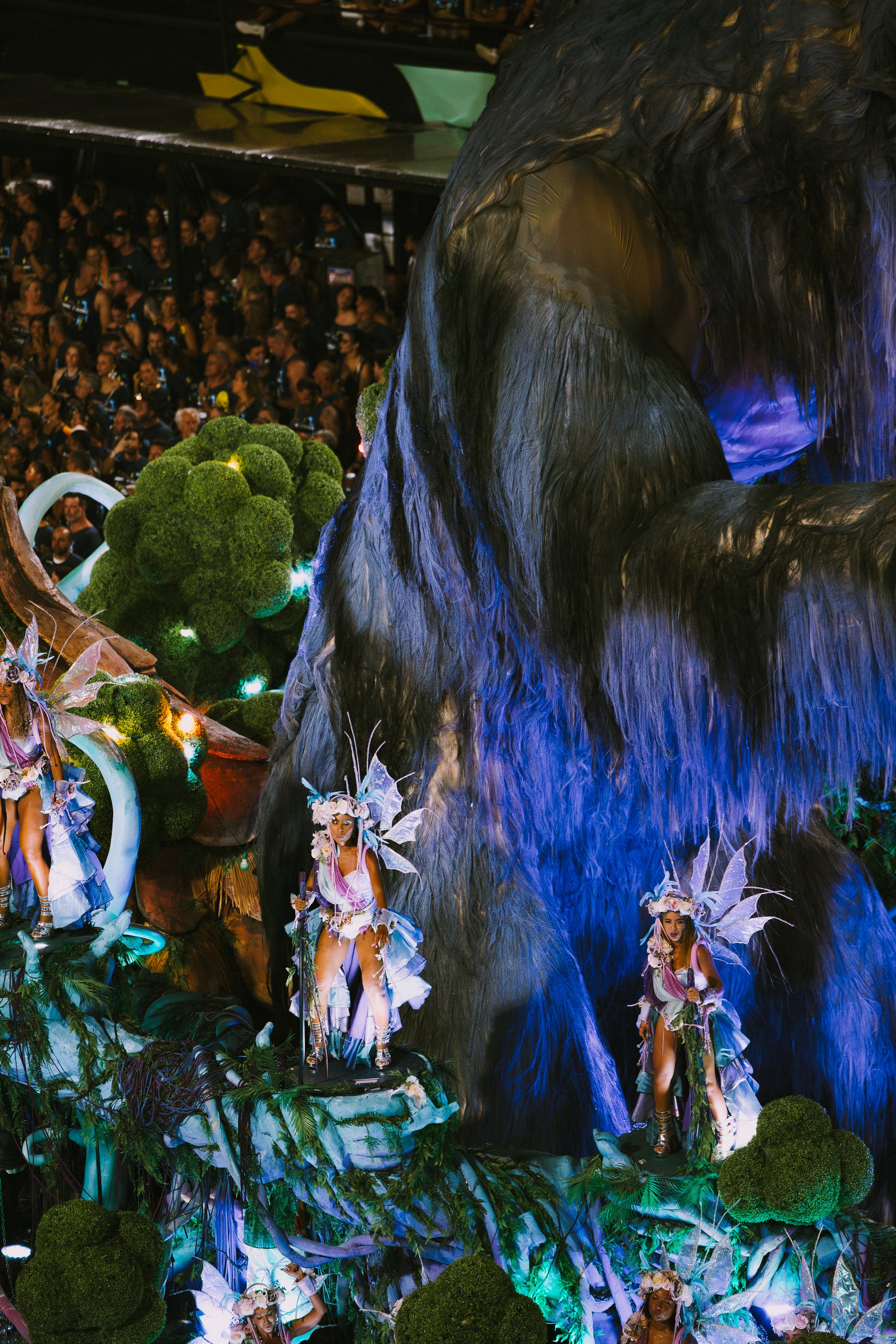 brazil6 (169 of 209).jpg