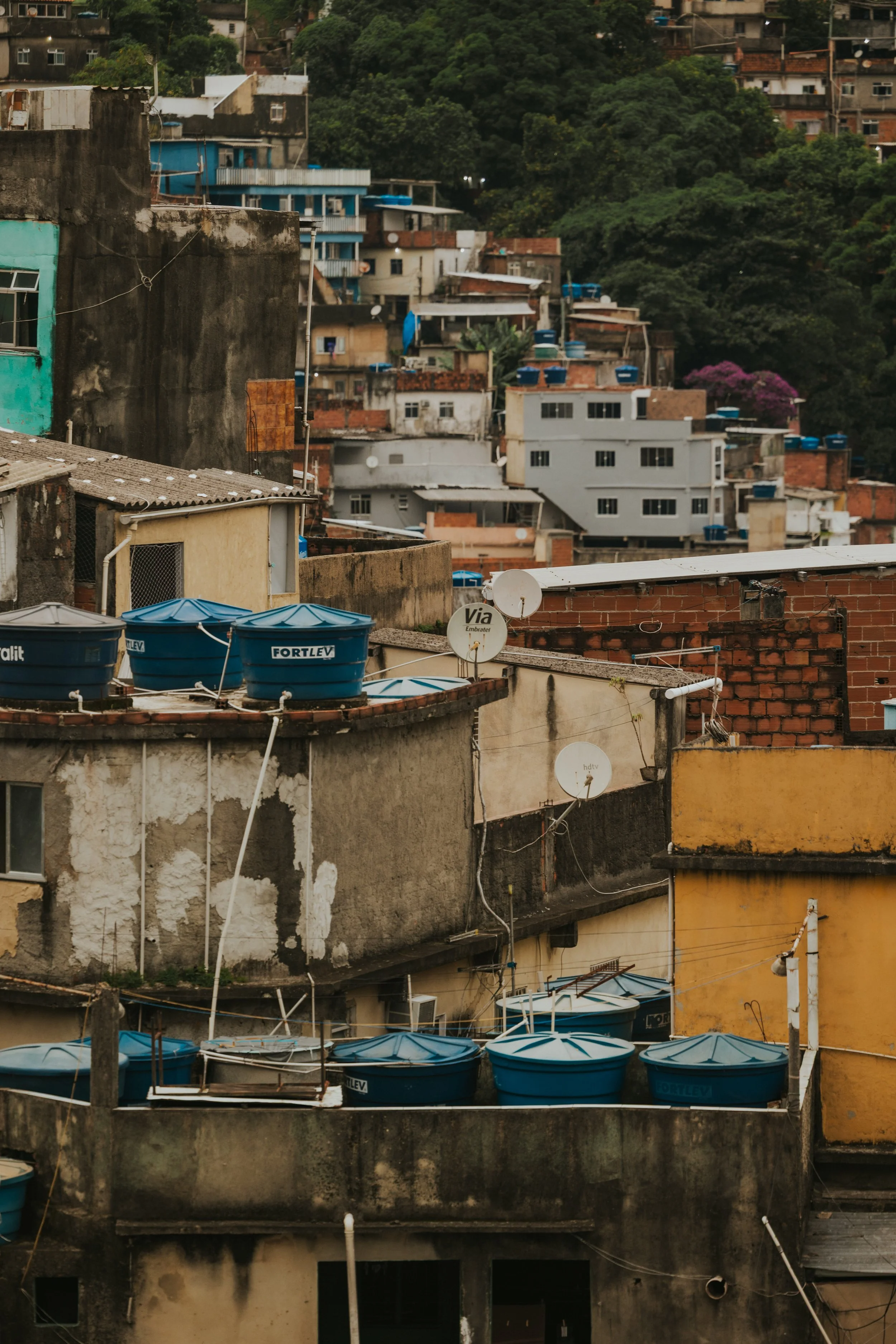 brazil4 (179 of 208).jpg