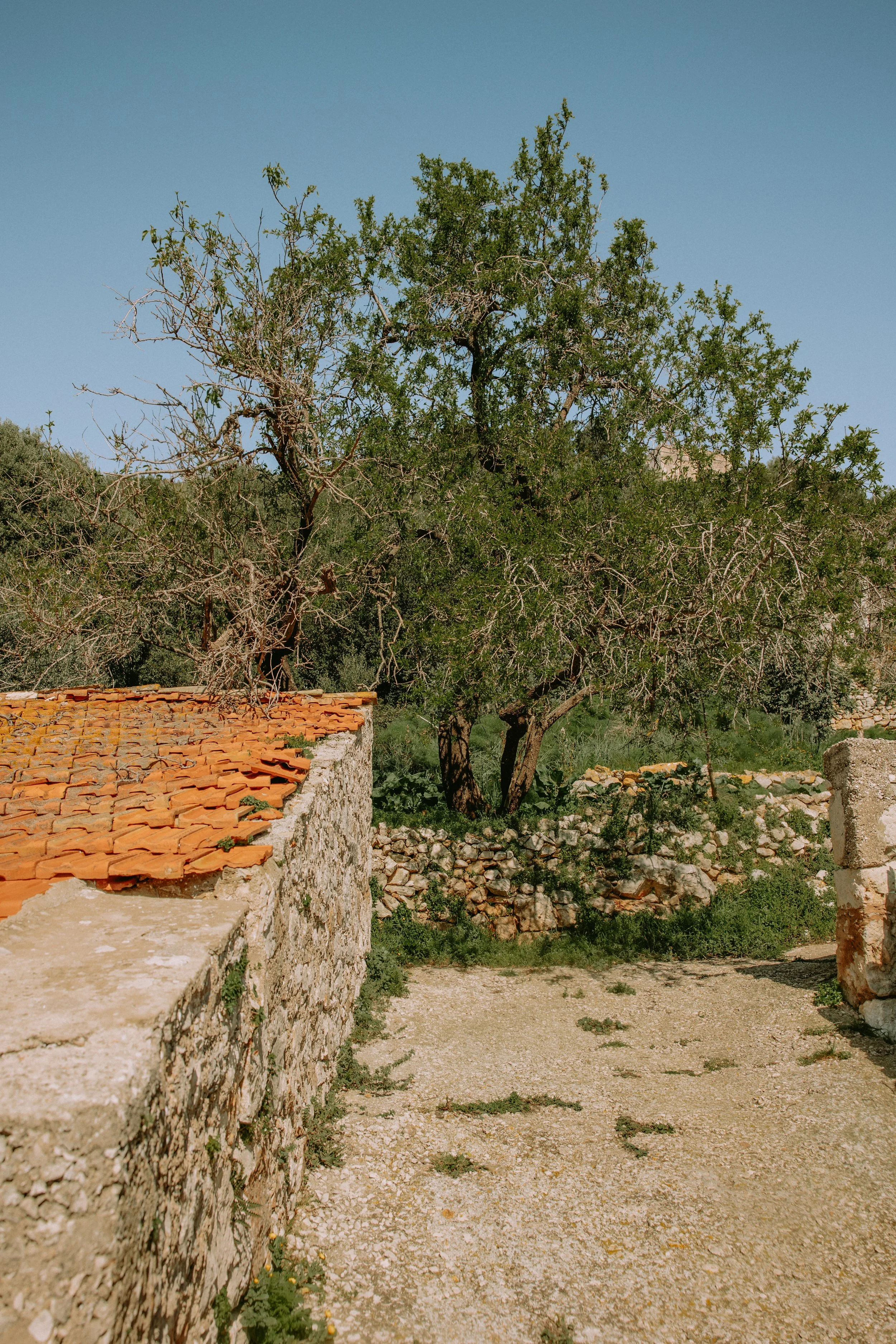 lastovo (74 of 186).jpg