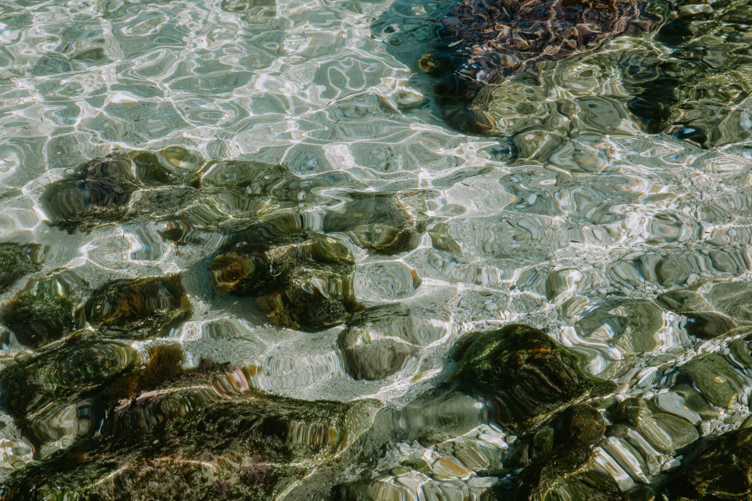 lastovo (108 of 186).jpg