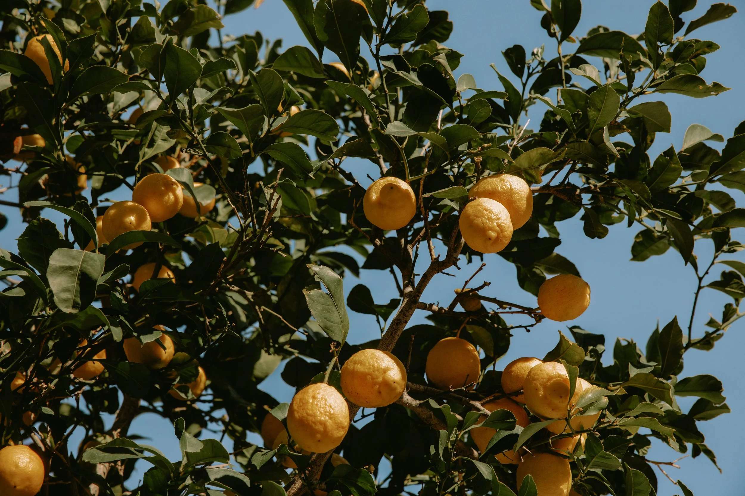 lastovo (185 of 186).jpg