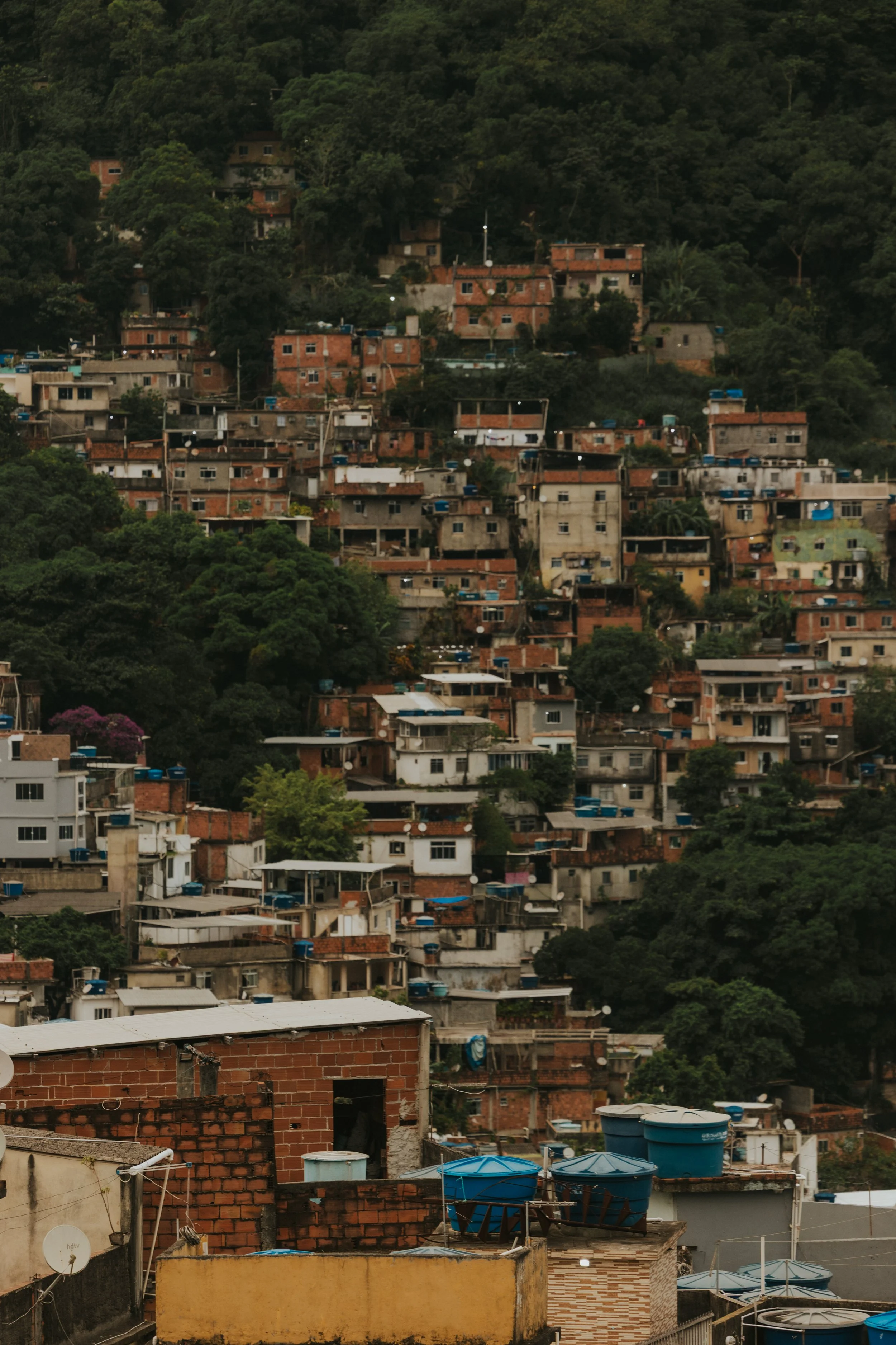 brazil4 (154 of 208).jpg