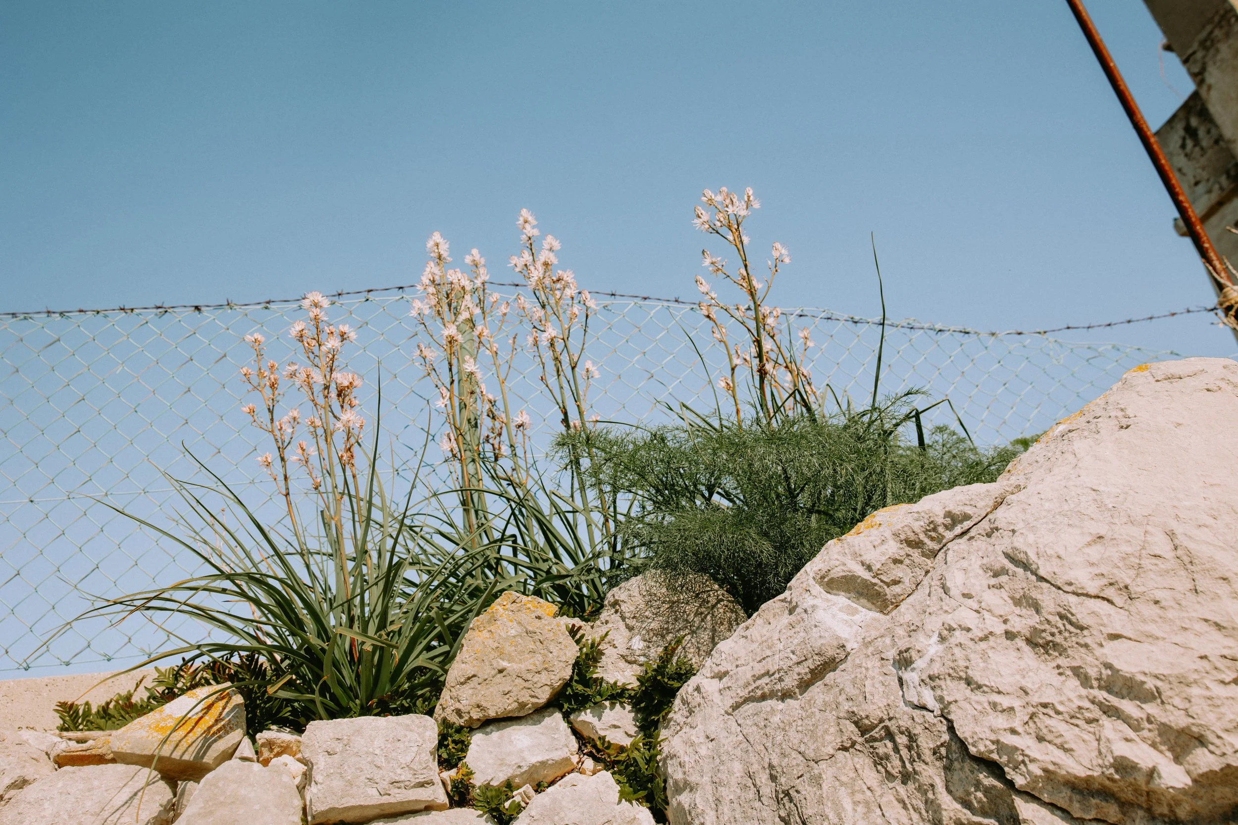 lastovo (35 of 186).jpg