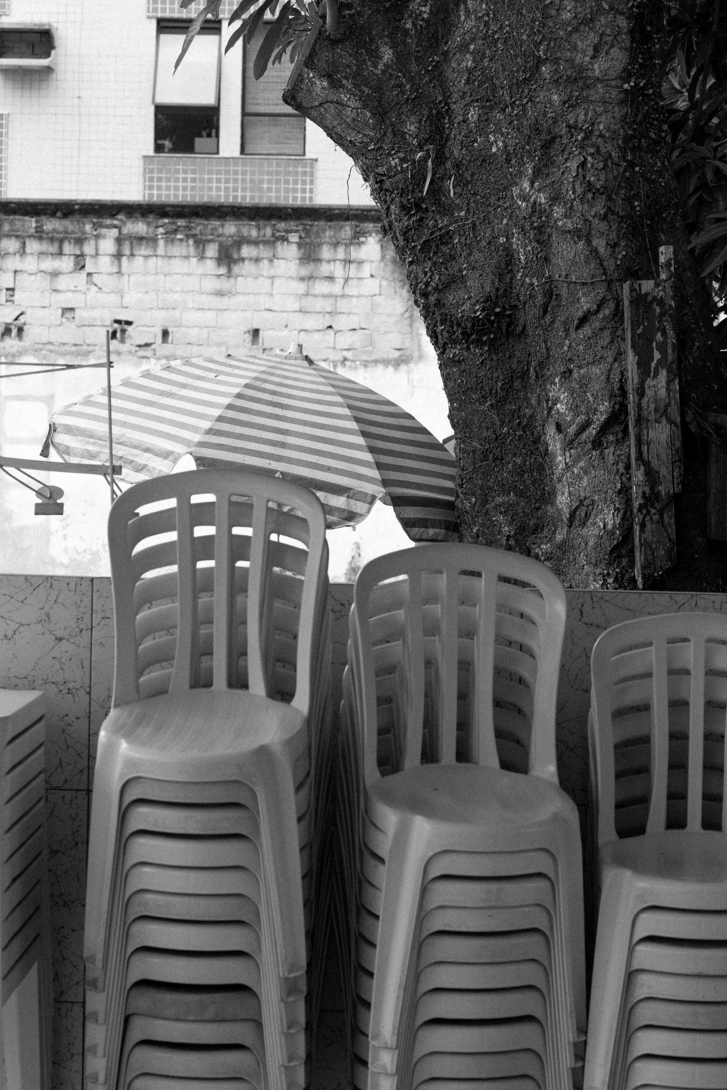 brazil2 (26 of 44).jpg