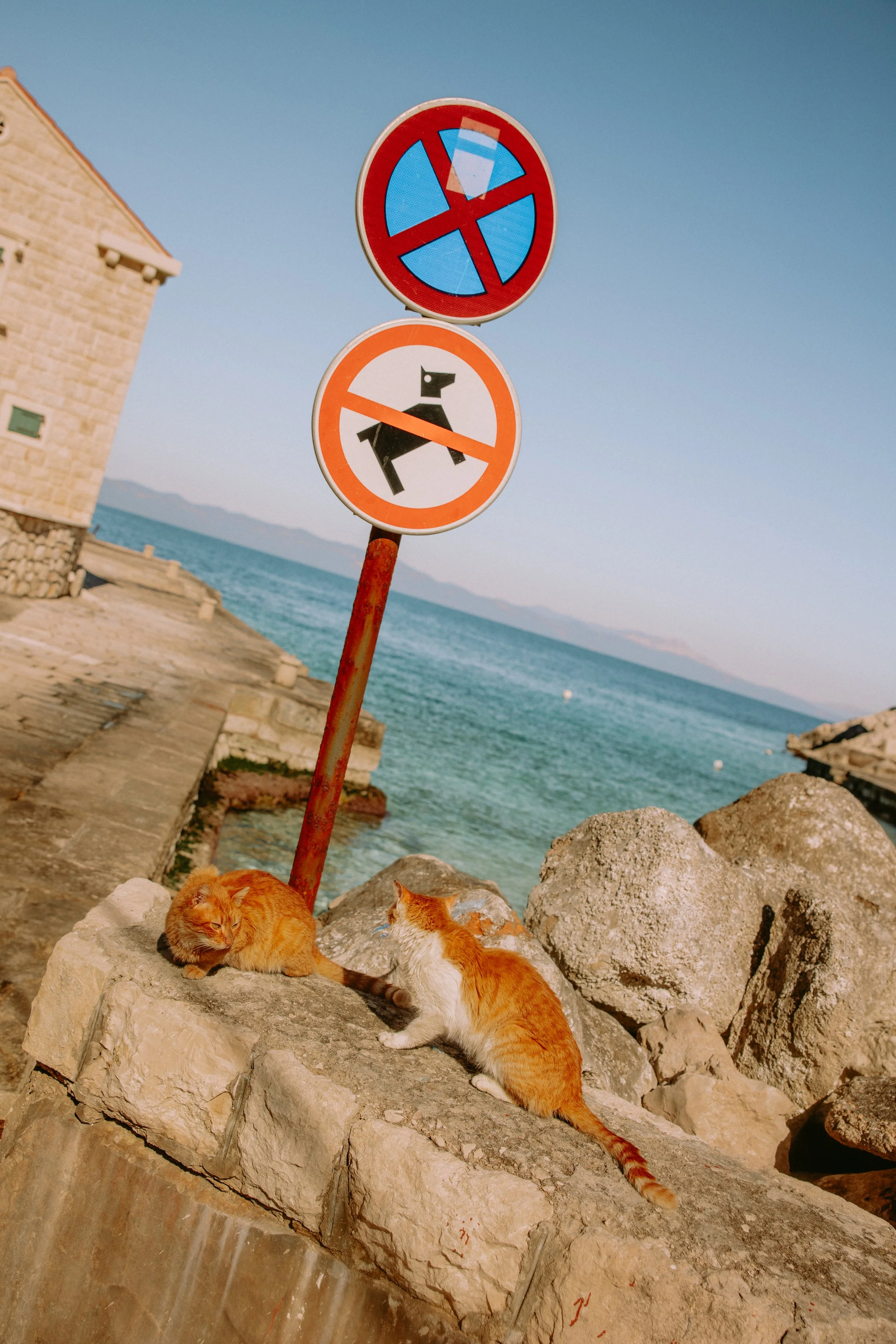 lastovo (113 of 186).jpg