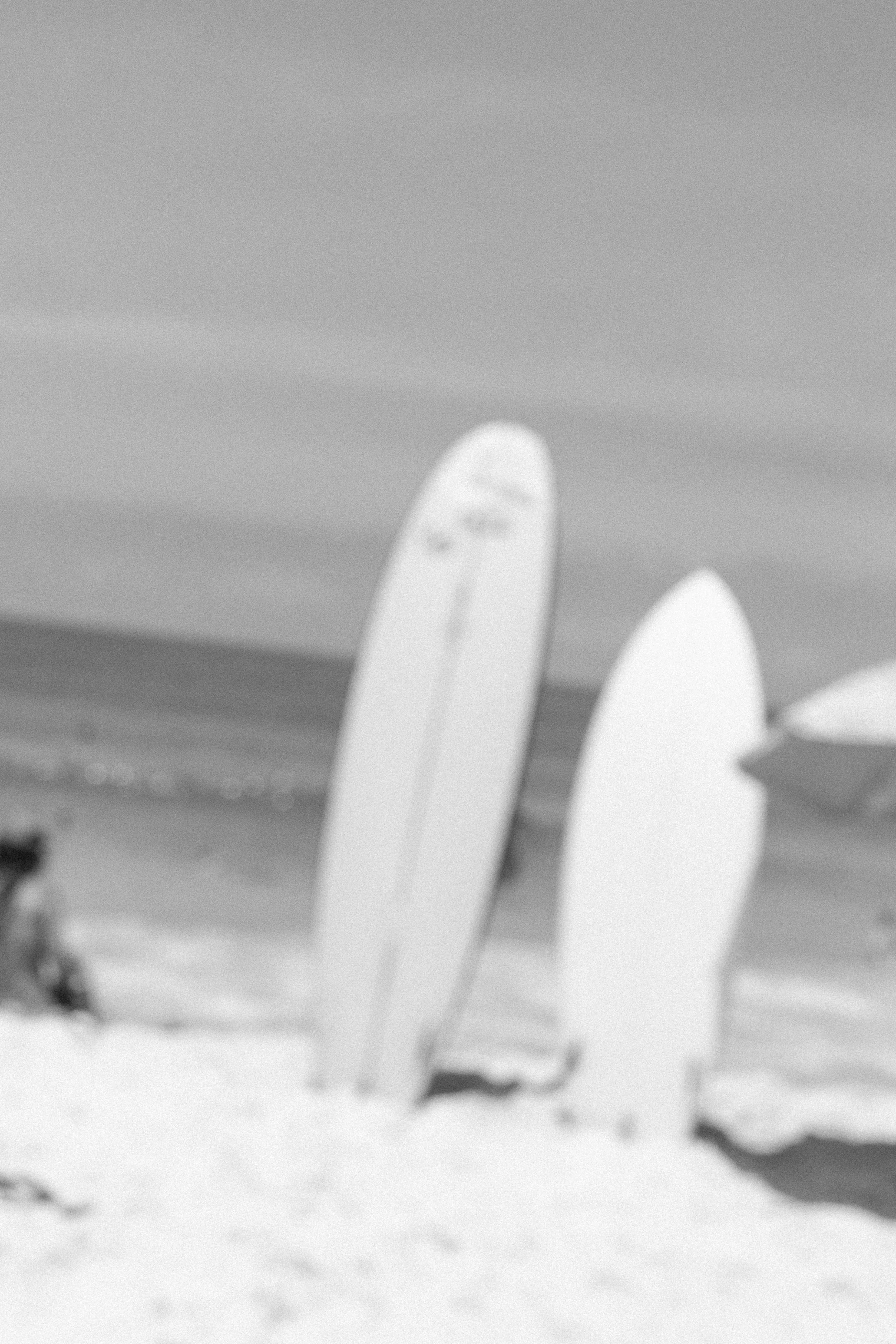 brazil4 (4 of 208).jpg