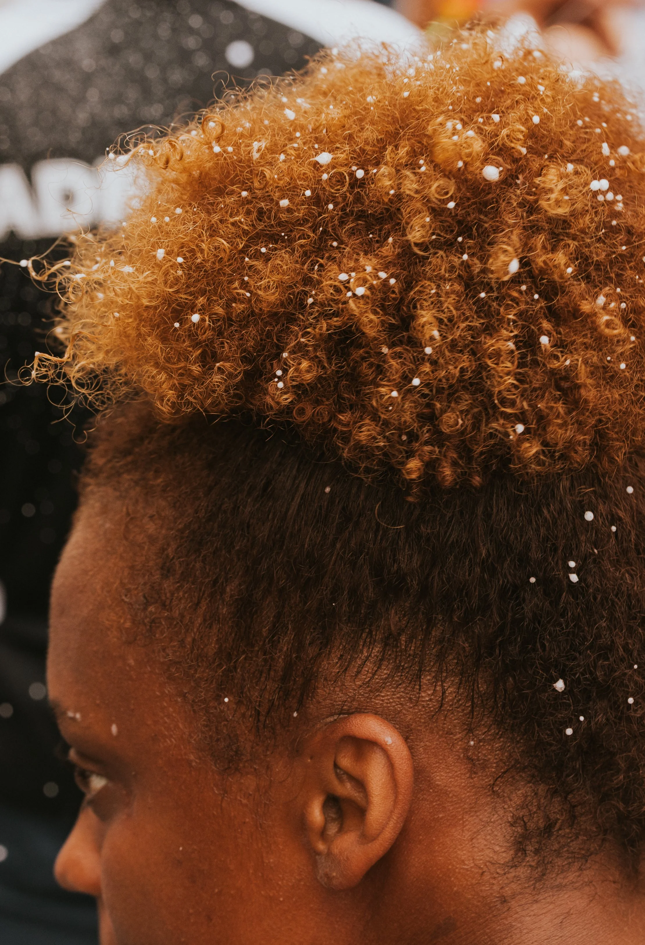 brazil1 (36 of 96).jpg