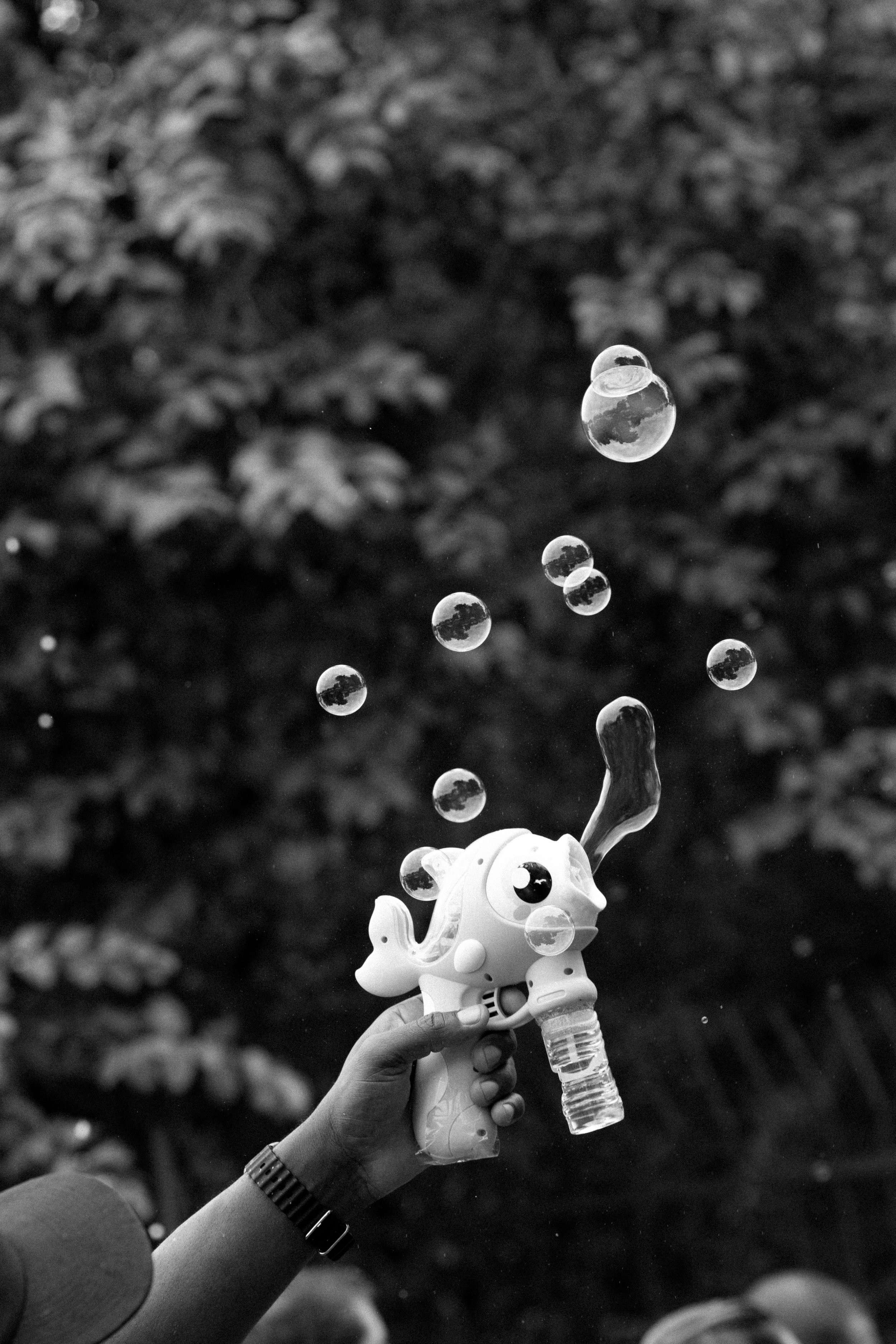 brazil1 (14 of 96).jpg