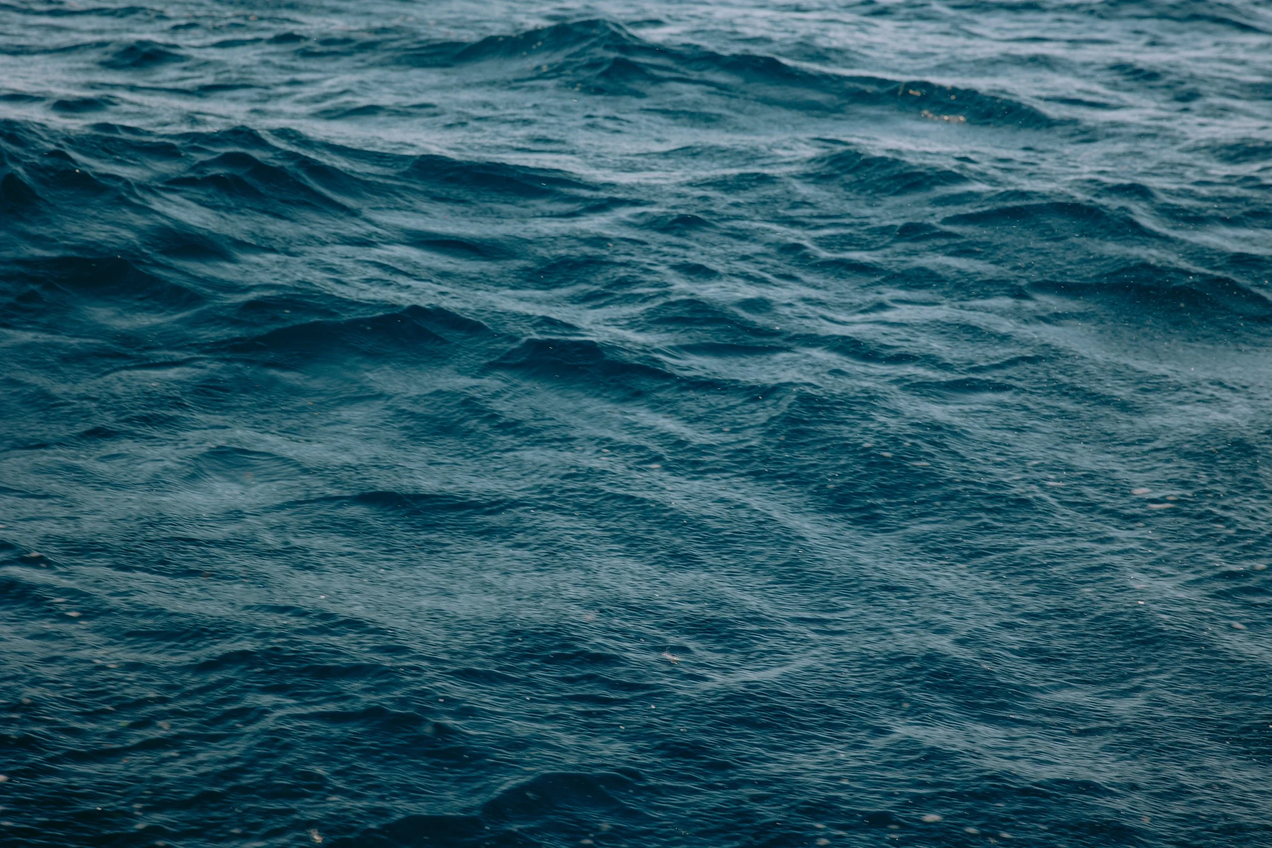 lastovo (2 of 186).jpg