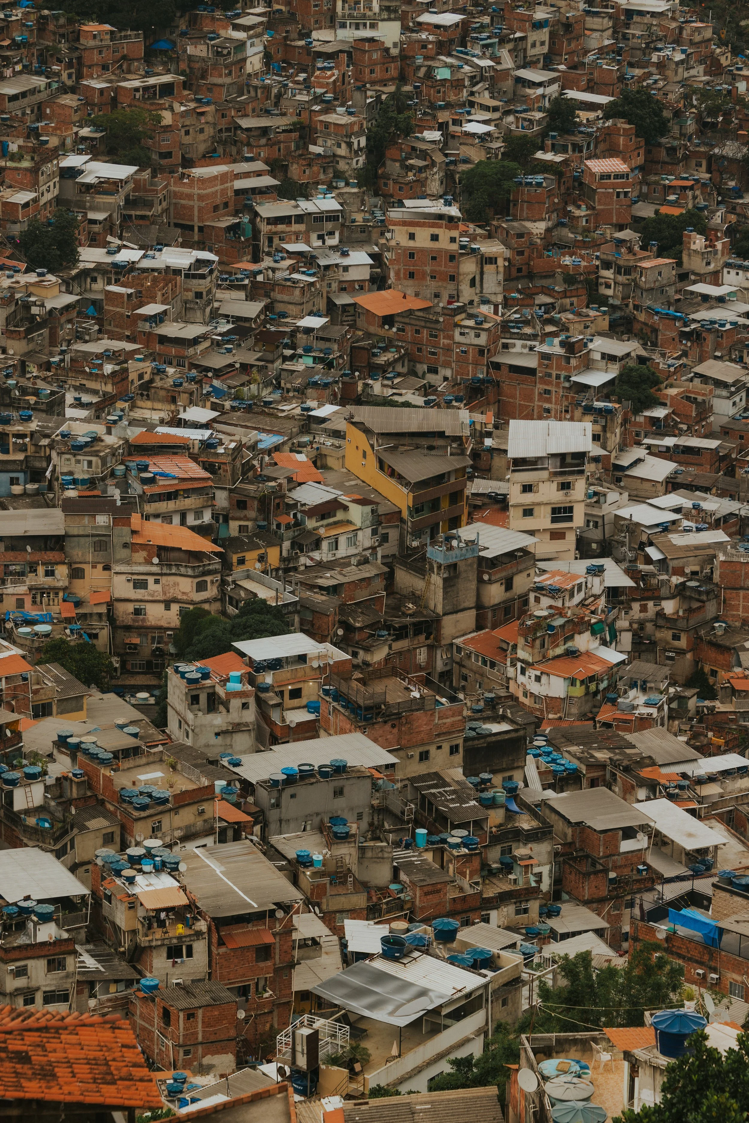 brazil4 (169 of 208).jpg