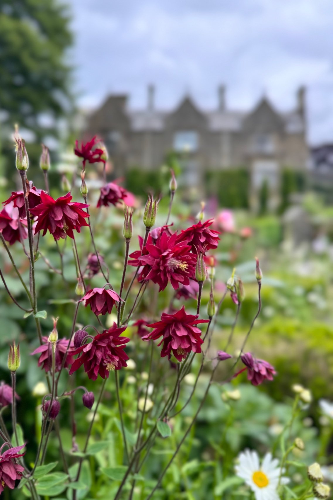 Langcliffe+hall+border+silva+vista+4.jpg