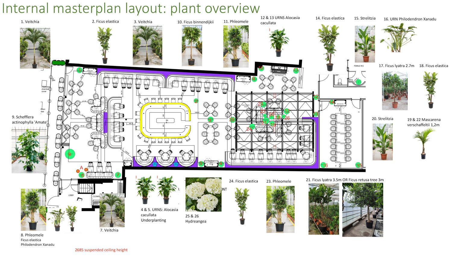 The Ivy Chichester - Planting Proposal v8_Page_5.jpeg