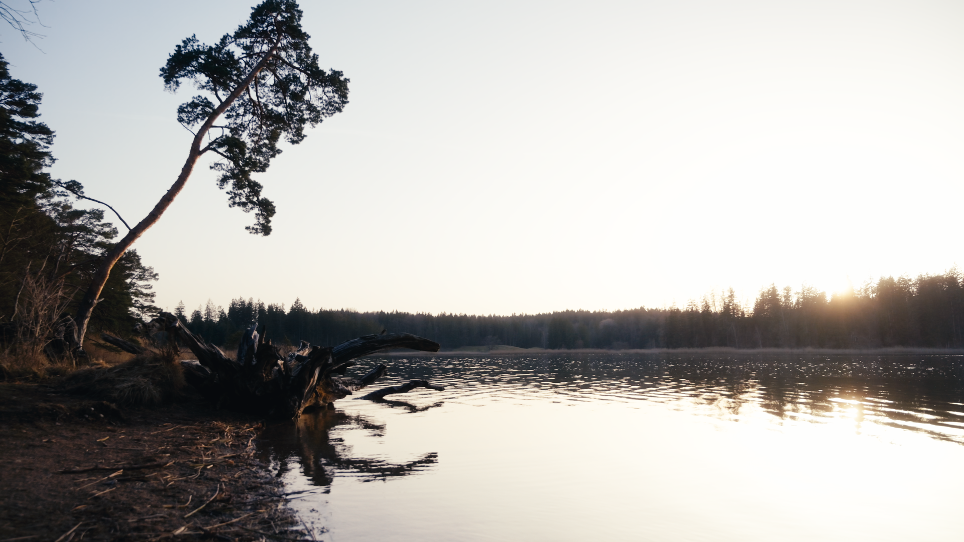 Osterseen - Ein visueller Tagebucheintrag über einen Herzensort