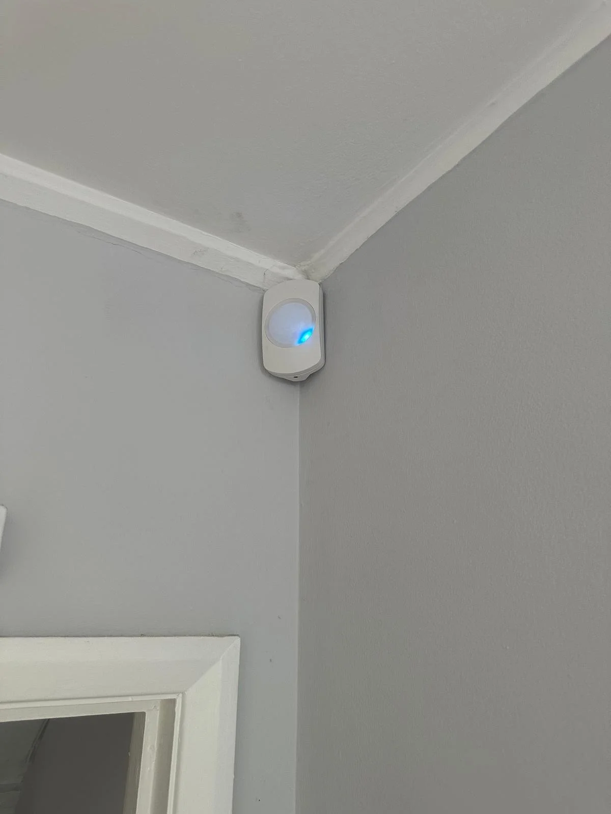 WhatsApp Image 2025-06-02 at 13.22.45 (13).jpeg