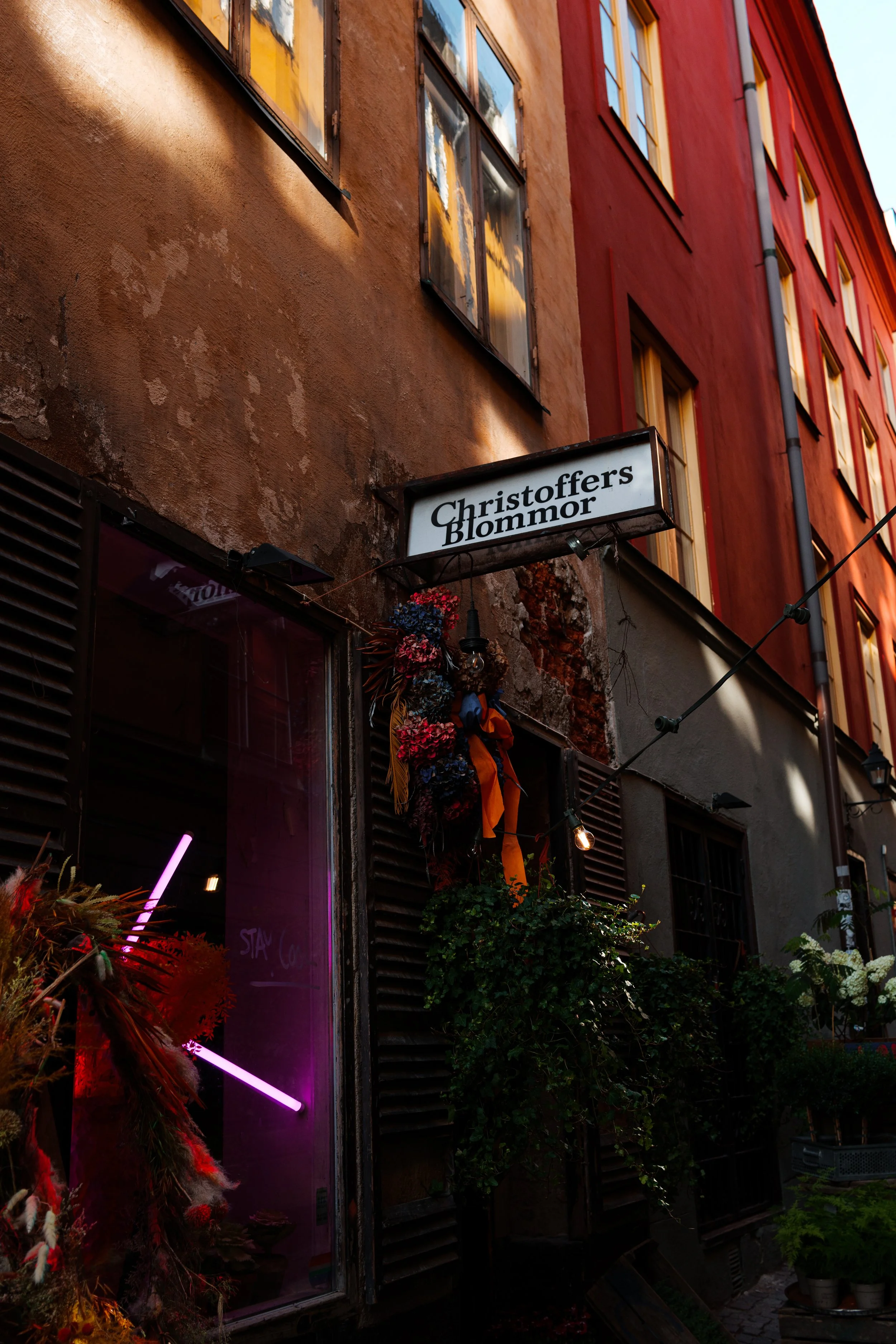 A street view of a building with a sign for Christoffer's Blommor, a flower shop, with flower decorations and greenery outside, and a window reflecting trees and the sky.