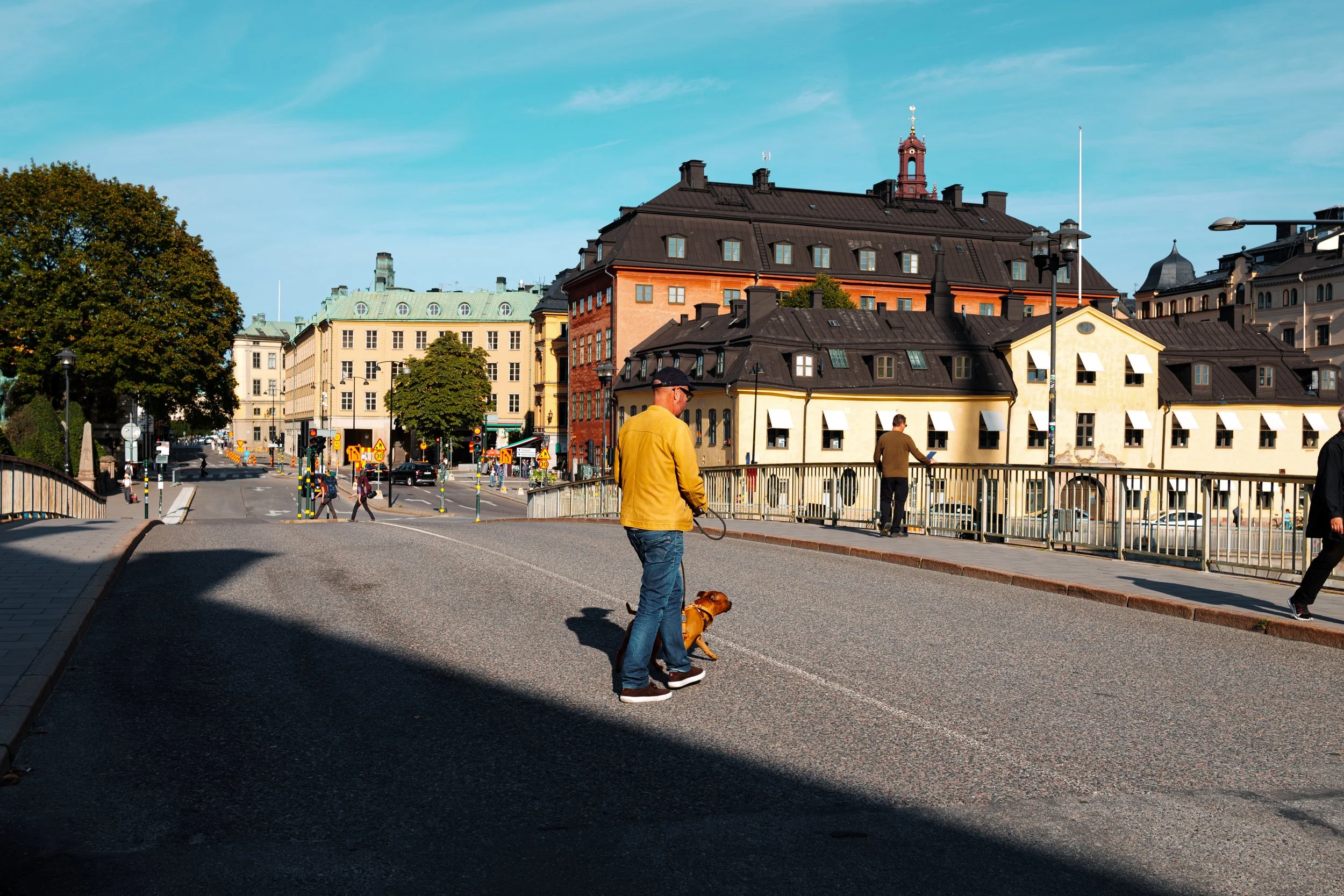 A man walking a dog across a city street with colorful buildings, trees, and pedestrians in the background on a sunny day.