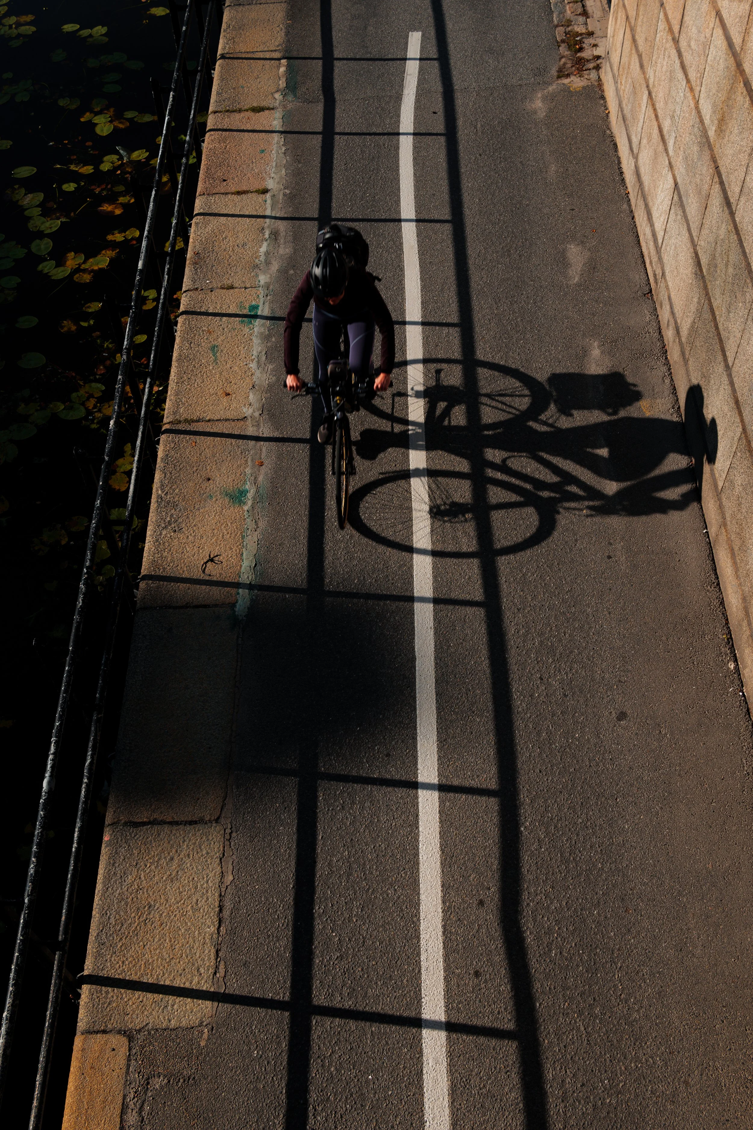 A person riding a bicycle on a paved path with a painted white line, casting a shadow of the bike and rider on the ground, during daylight hours.