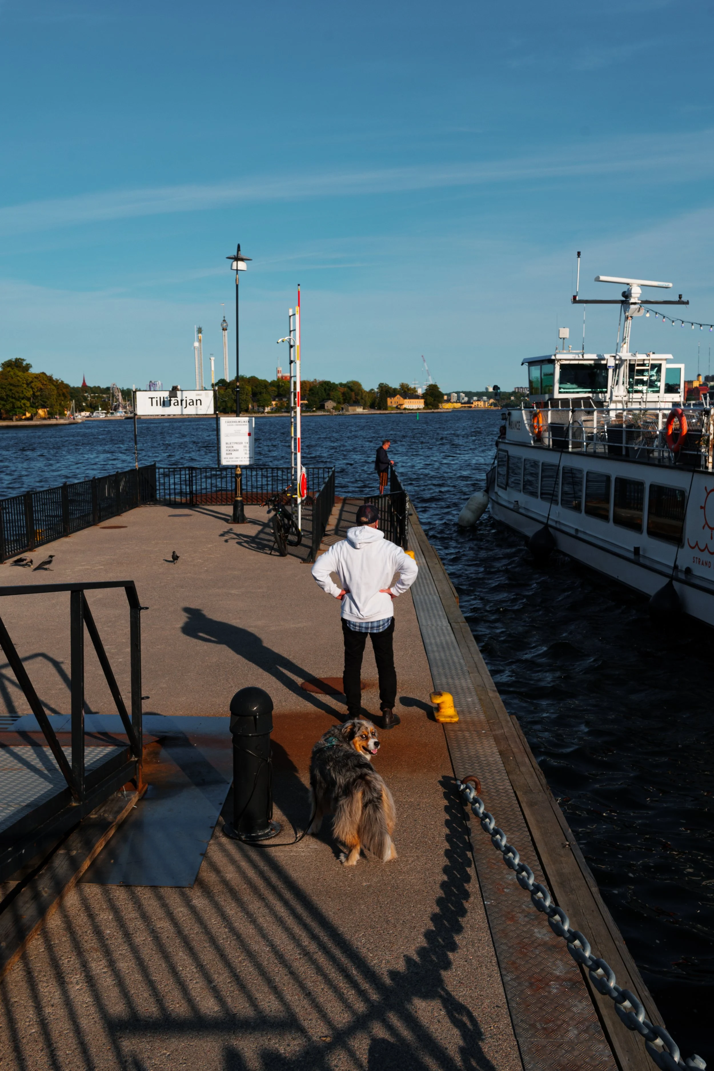 A man with a dog standing on a pier by the water, two other people fishing, and boats docked nearby, with a city skyline and blue sky in the background.