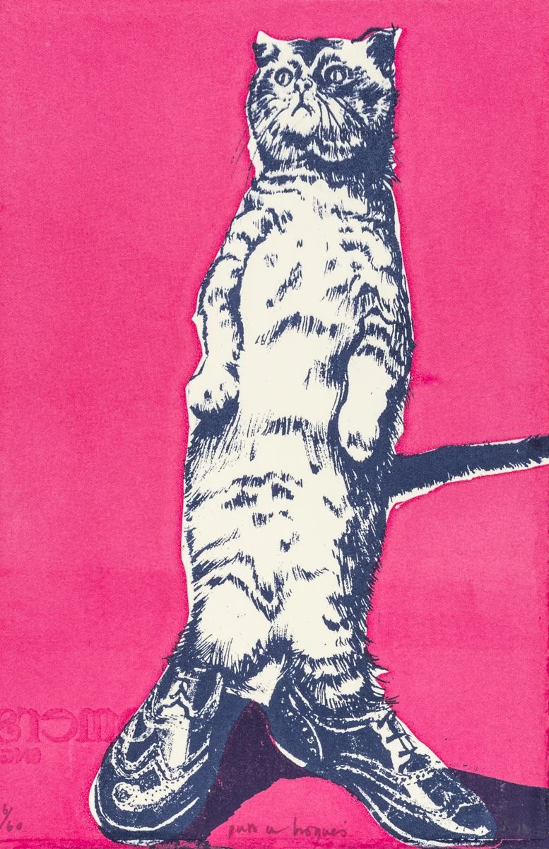 for web cat in brogues .jpg