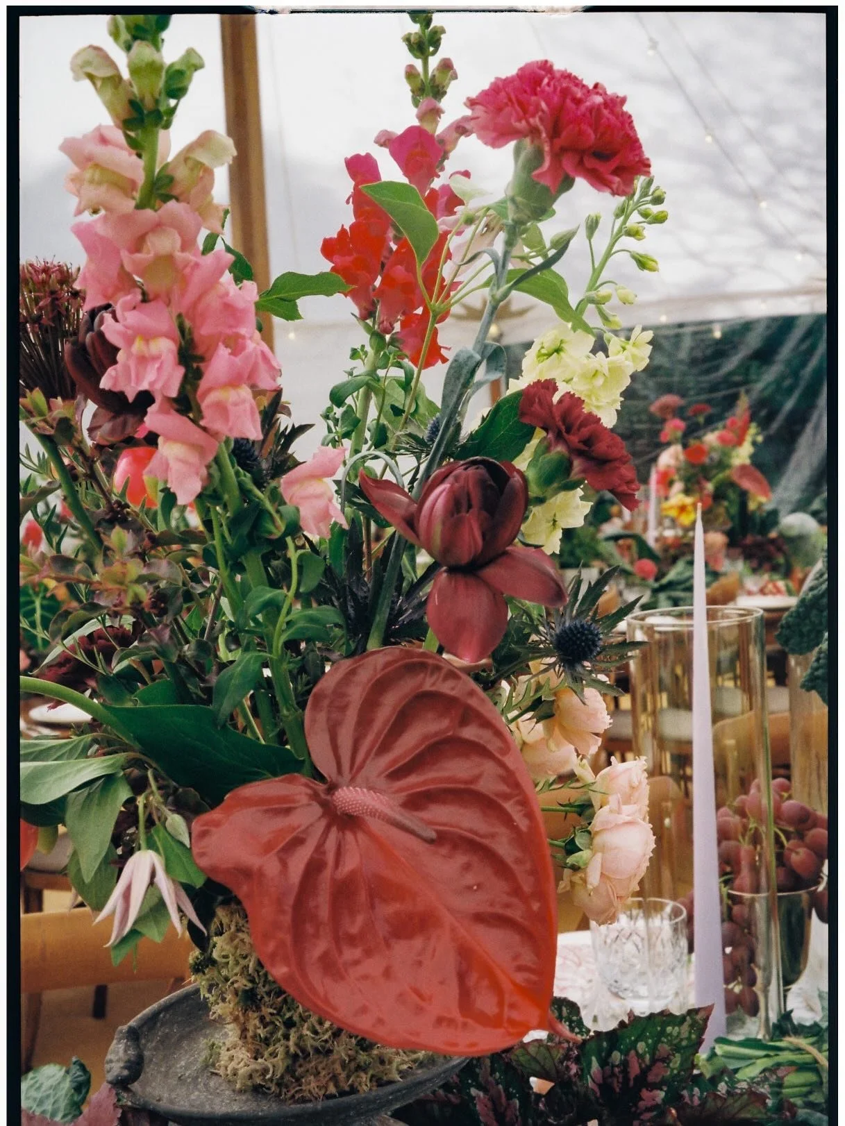 Undying Love: Taking inspiration from Georgia O&rsquo;Keeffe and her desire to stop people in their tracks to observe, admire and delight in the beauty of nature. 
Concept, planning, styling, props: @pearleventsatelier
Sail cloth, furniture: @southdo