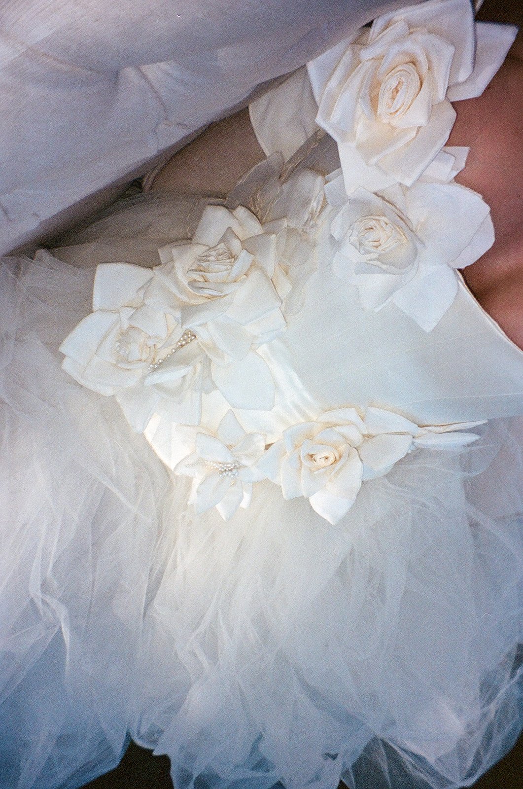 Film-36.jpg