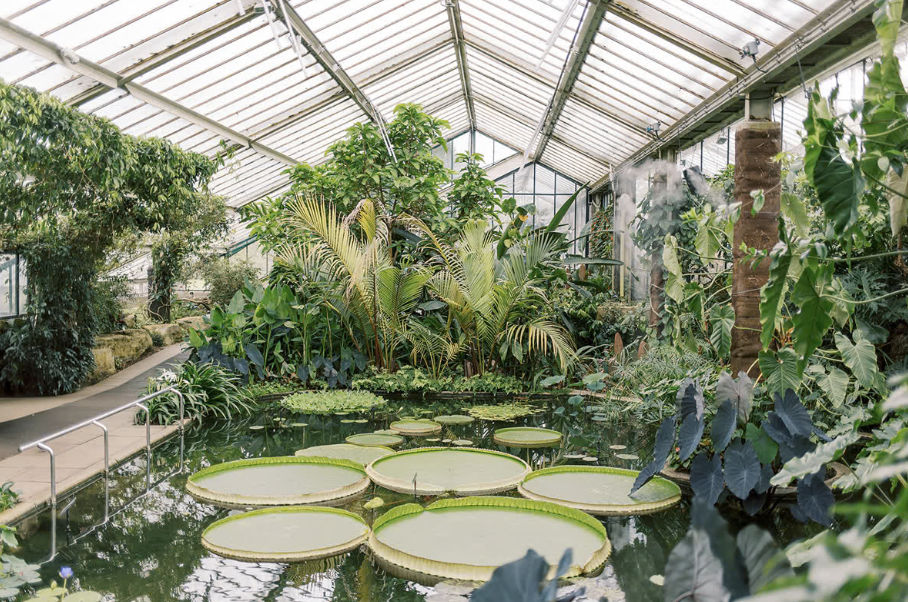 Kew Gardens Wedding Planner