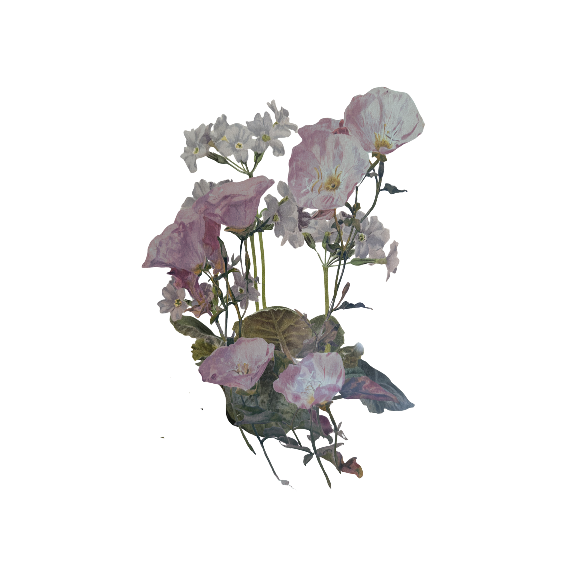 A floral arrangement of pink and white flowers with green leaves.