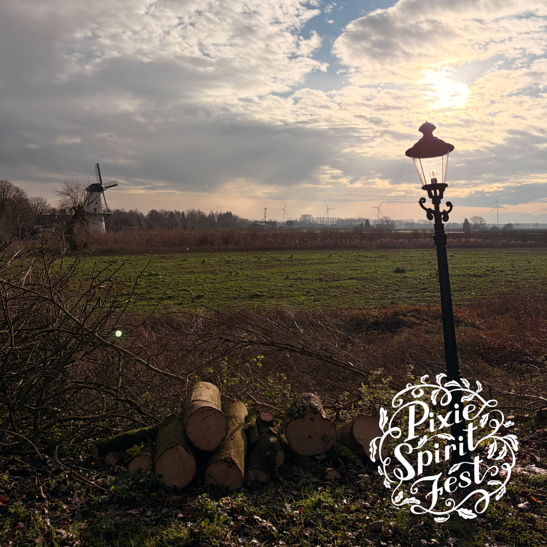 copyright-Pixie-Spirit-Fest-blog-locatie-marienwaerdt-7.png