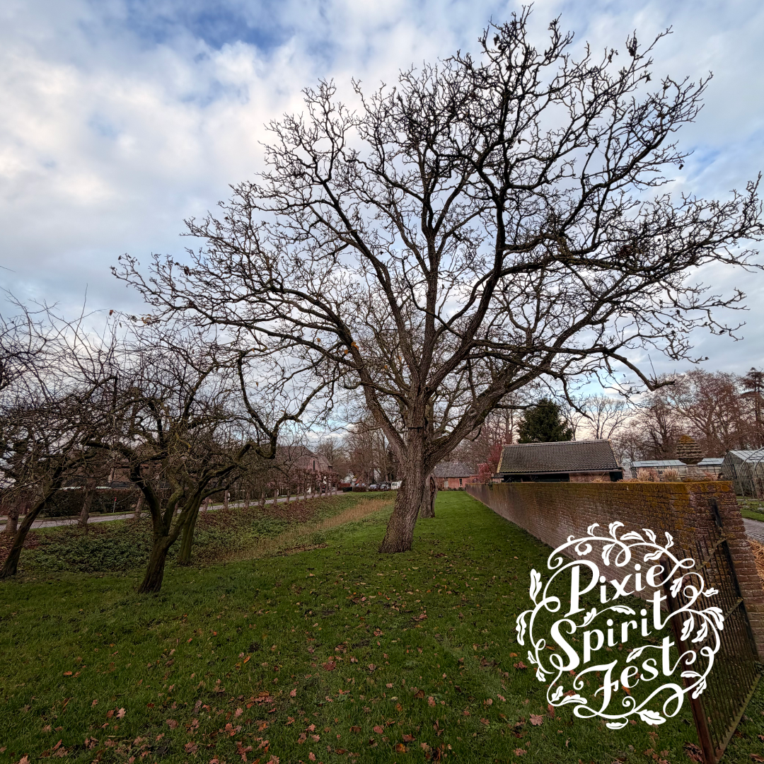 copyright-Pixie-Spirit-Fest-blog-locatie-marienwaerdt-9.png