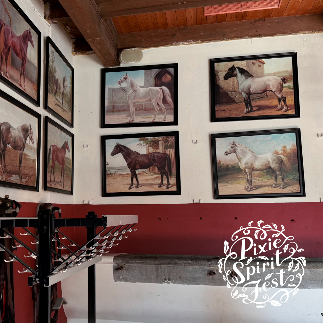 copyright-Pixie-Spirit-Fest-blog-locatie-marienwaerdt-11.png