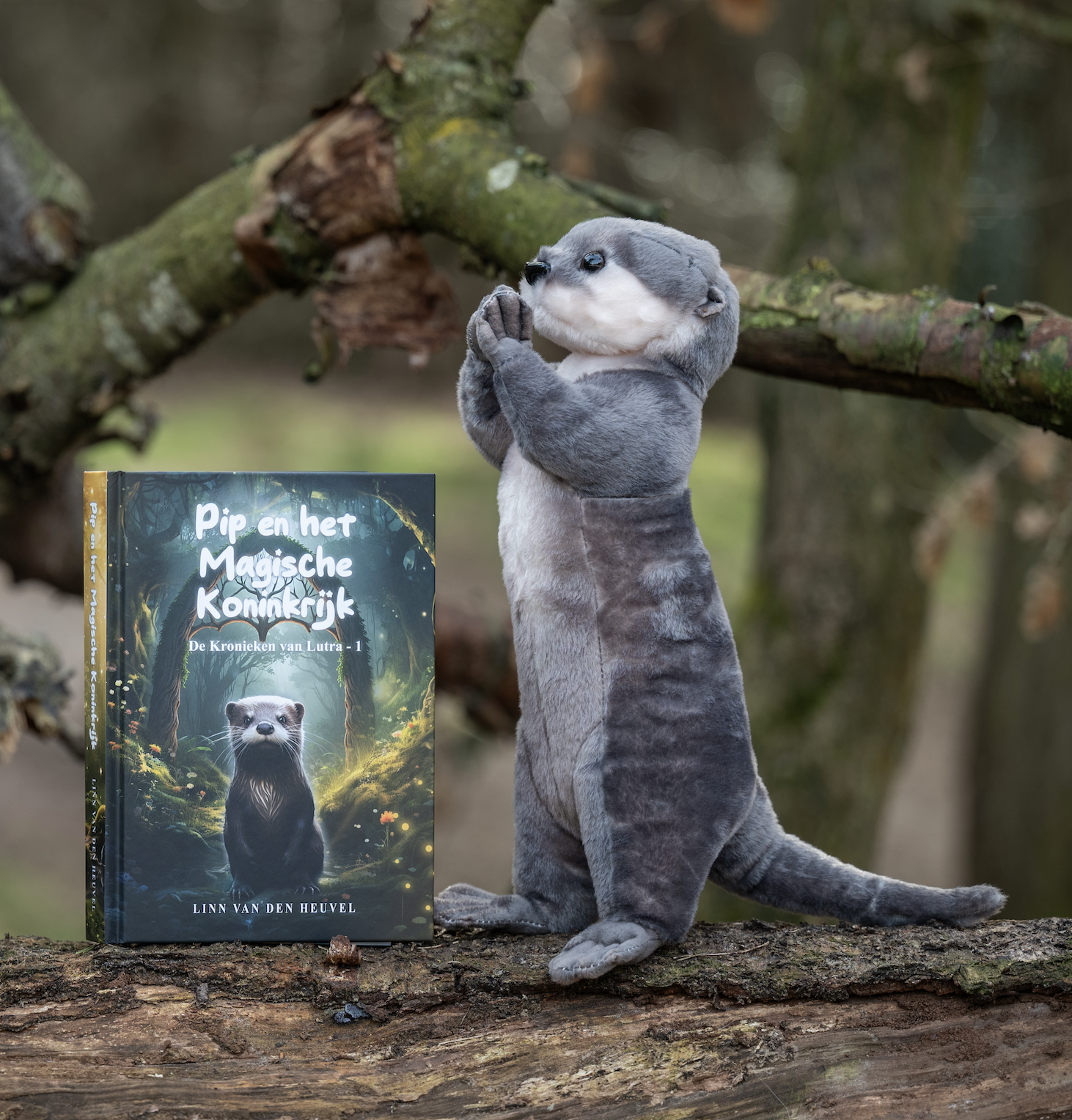 Pip en het magische koninkrijk