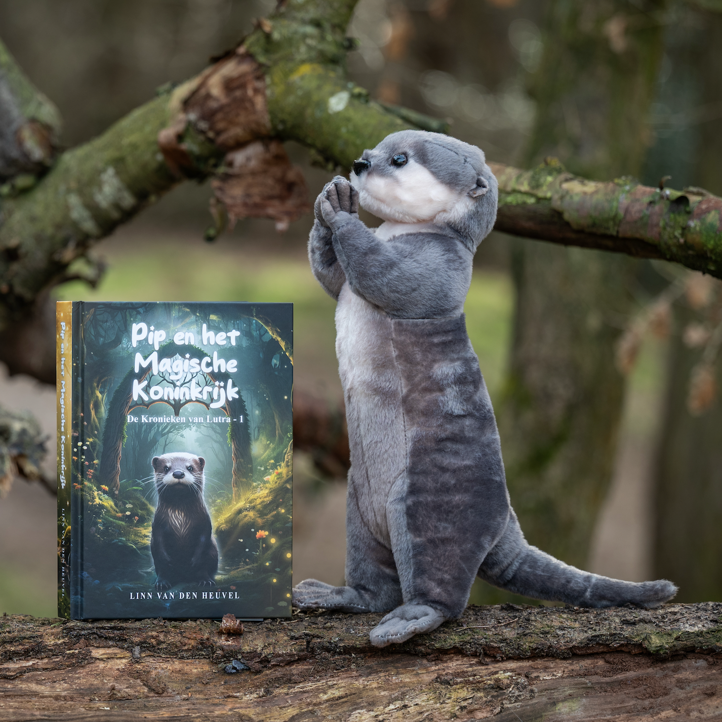 Pip en het magische koninkrijk