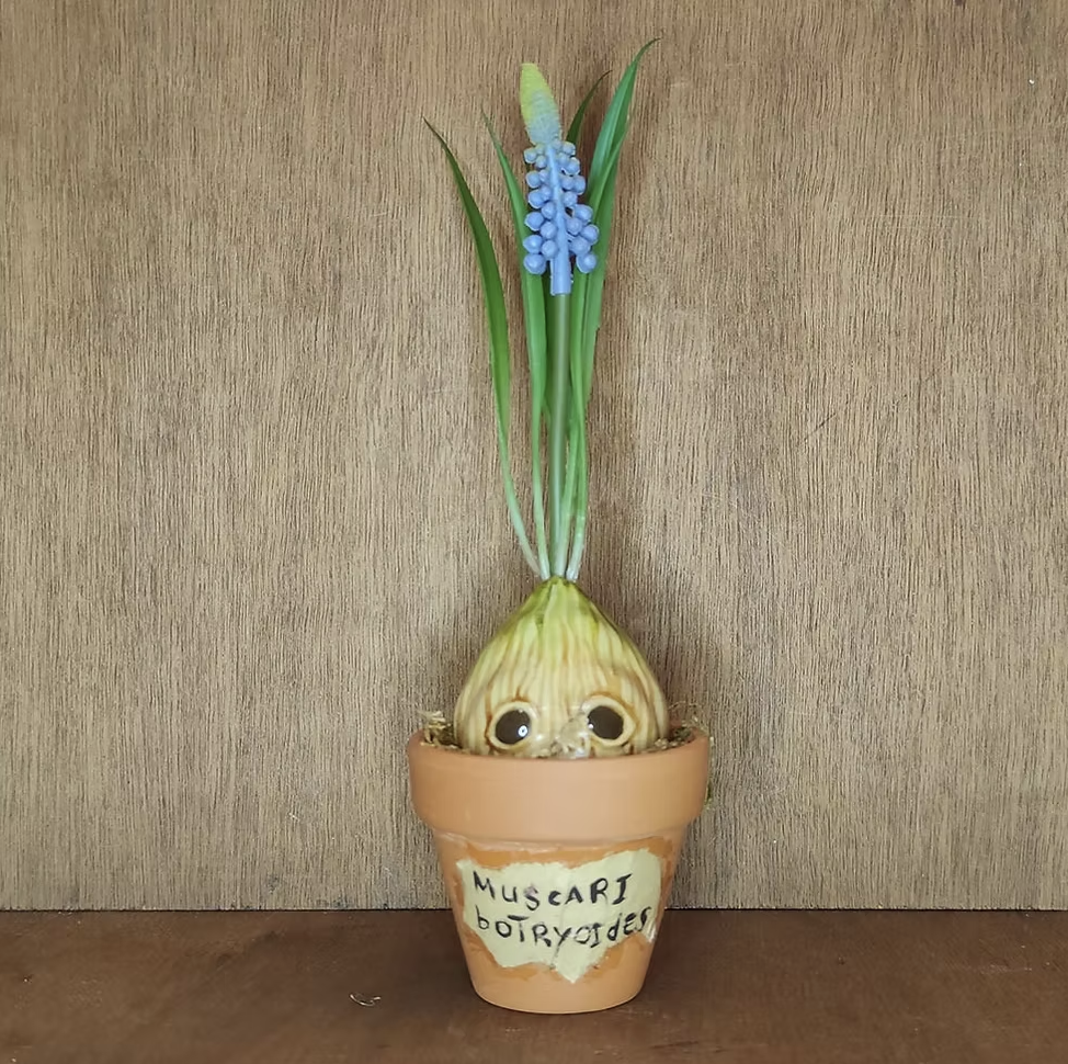 Copyright-pixiespiritfest-standhouders-willows-4.png