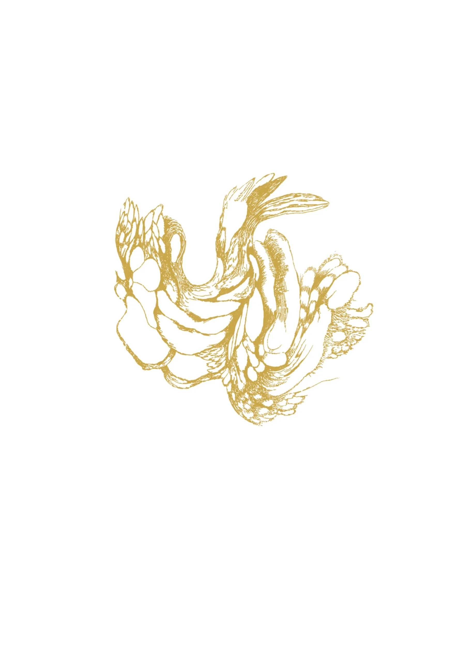Ivana Filkorova – Gold Obsession series artwork, botanical-inspired golden line drawing.