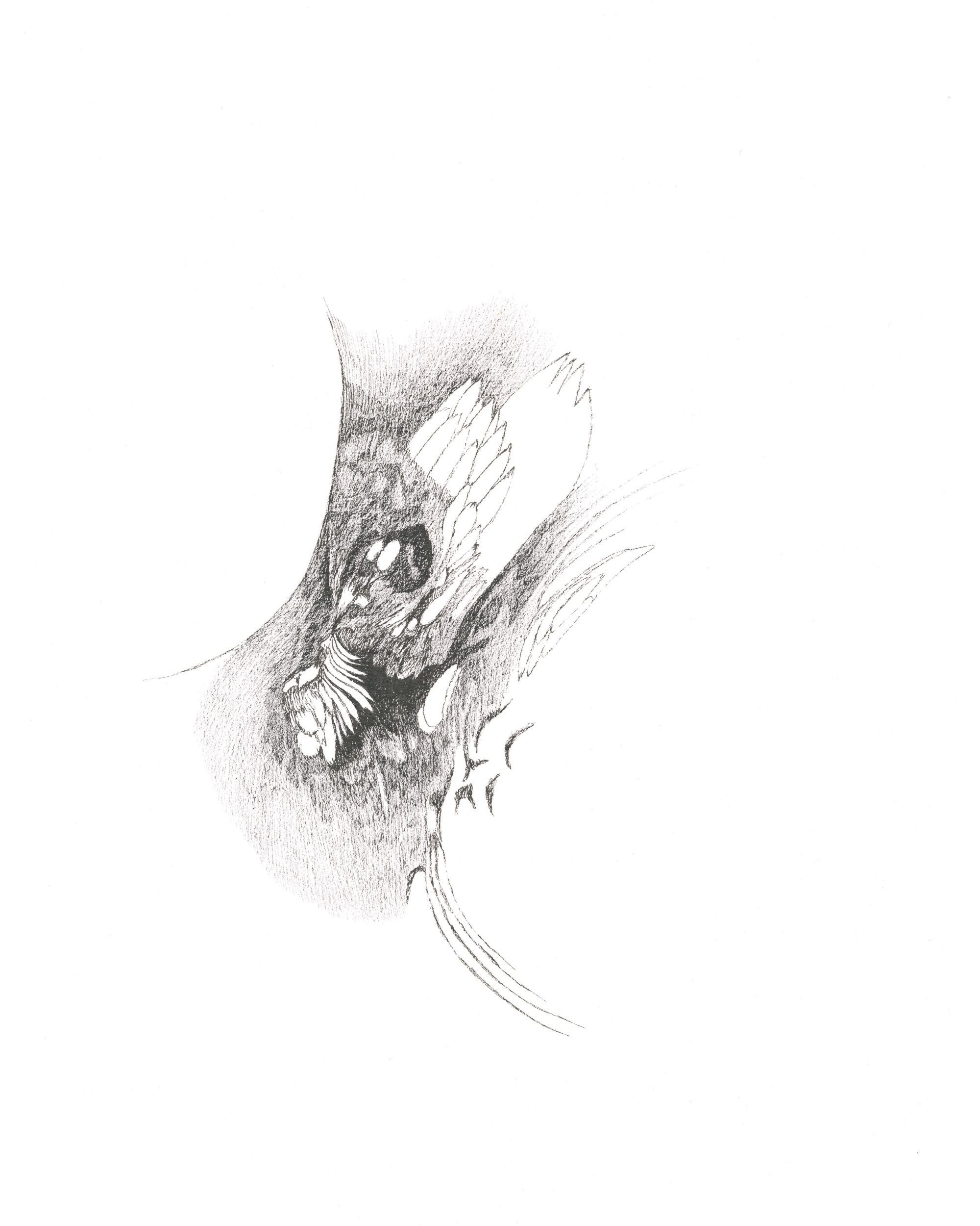 Une autre lumière Study 4.jpg