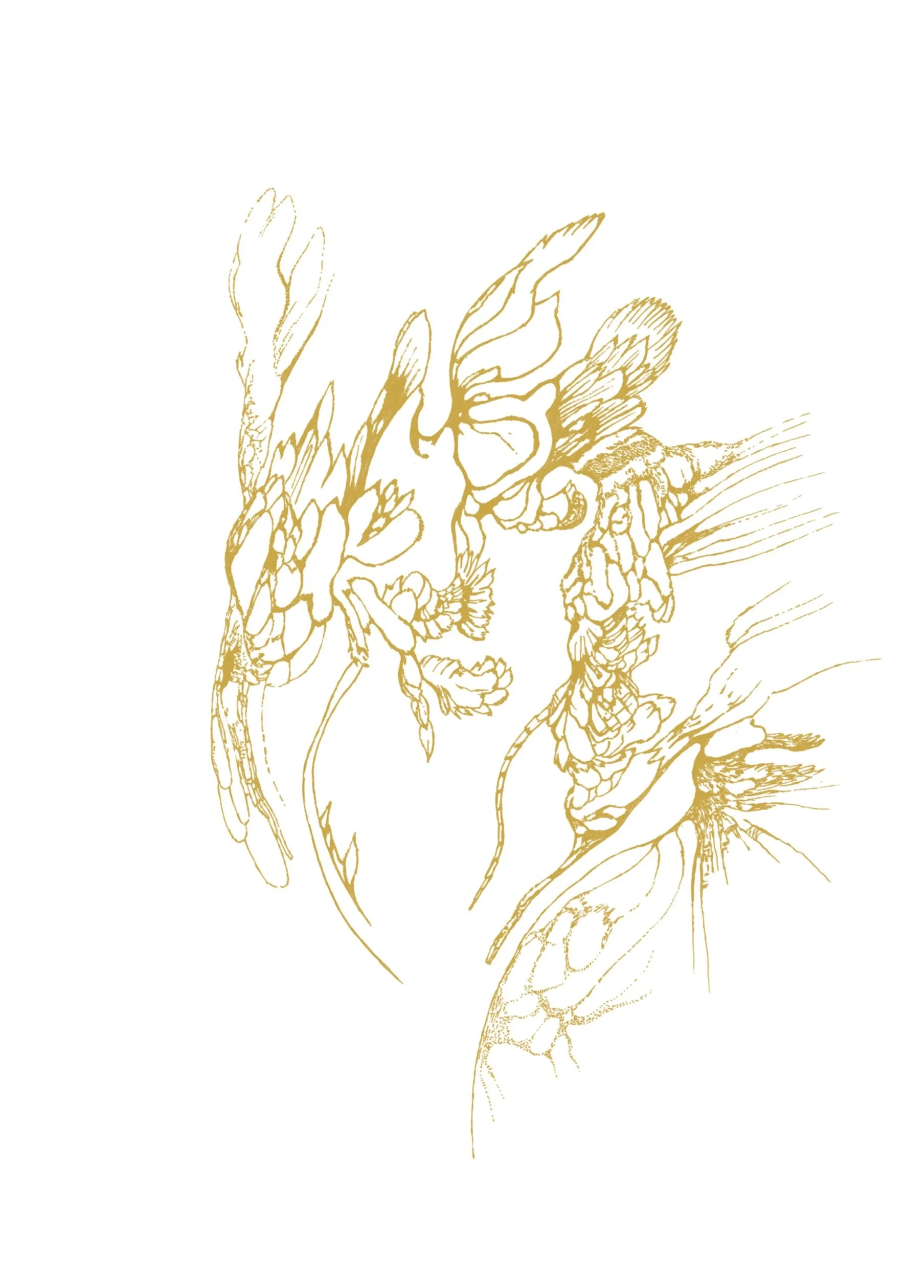 Gold Obsession series – intricate abstract drawing in golden lines by Ivana Filkorova.