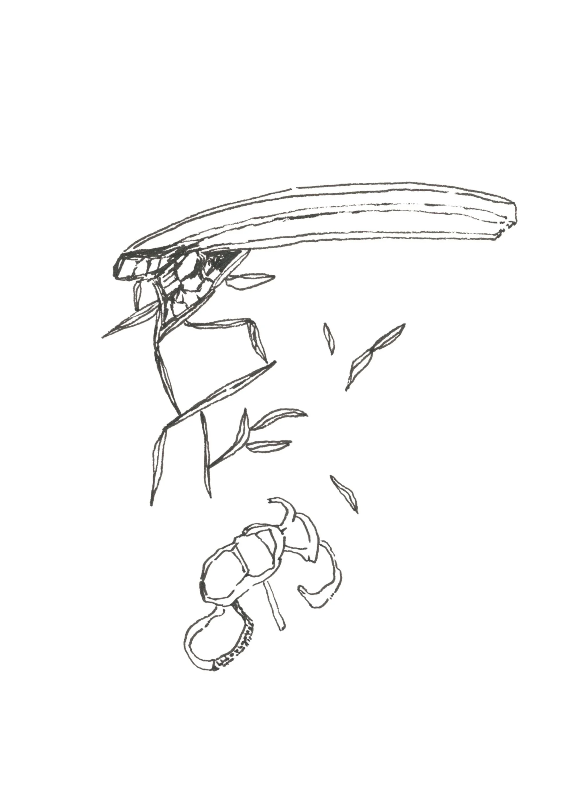 Une autre lumière Drawing Diary 23.jpg