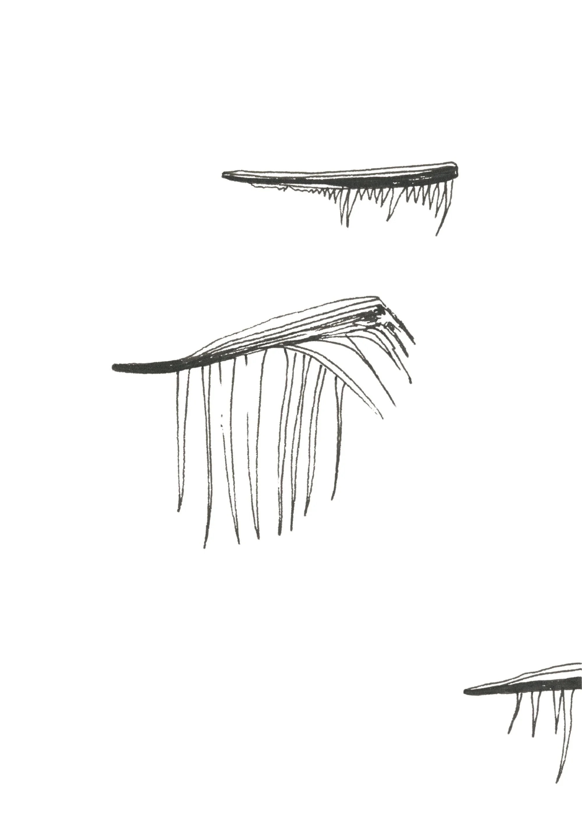 Une autre lumière Drawing Diary 43.jpg