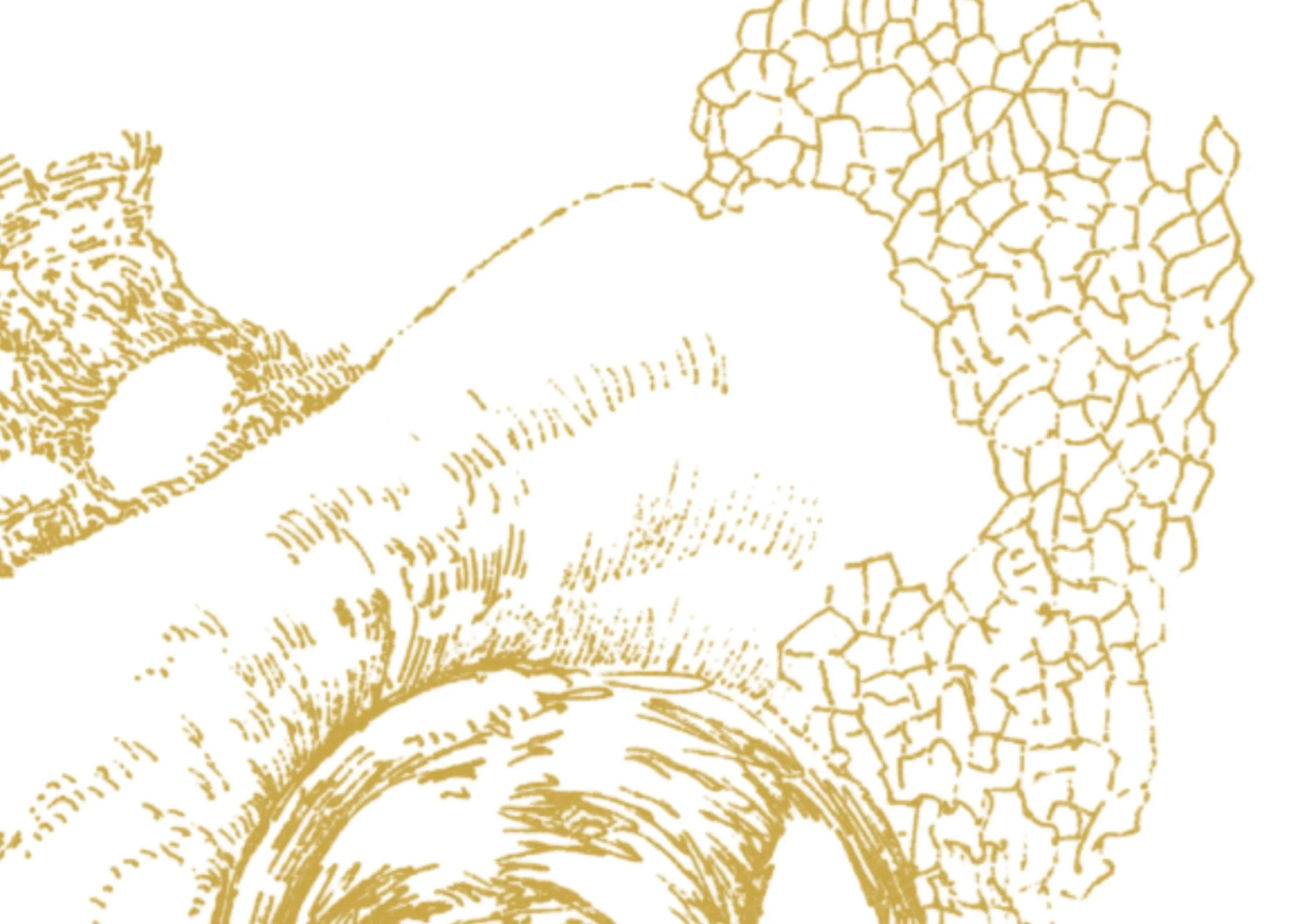 Detailed section of Gold Obsession series – golden abstract drawing by Ivana Filkorova.