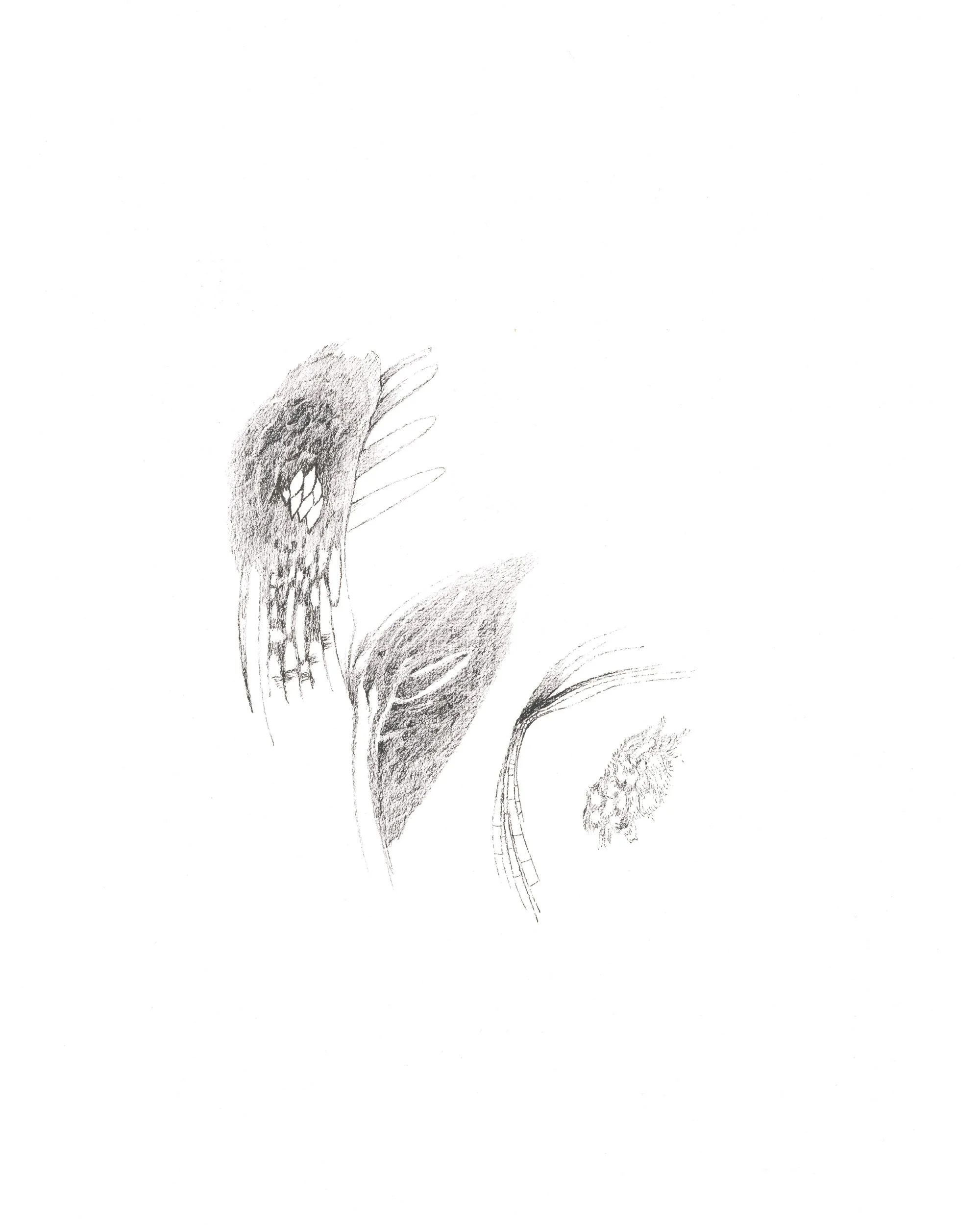 Une autre lumière Study 5.jpg