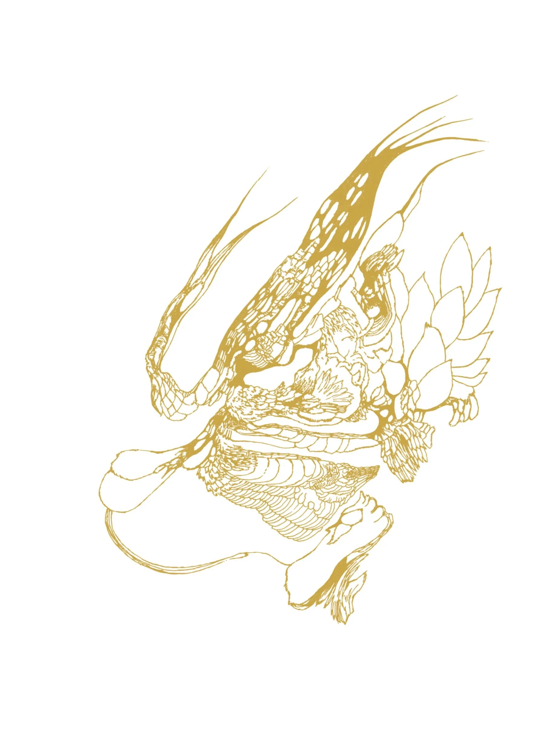 Golden line illustration by Ivana Filkorova from the Gold Obsession collection.