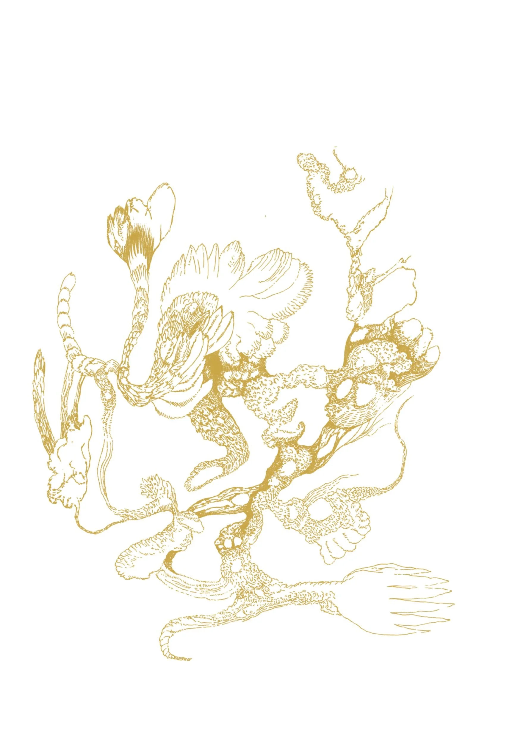 Ivana Filkorova – Gold Obsession artwork, golden abstract drawing with delicate lines.